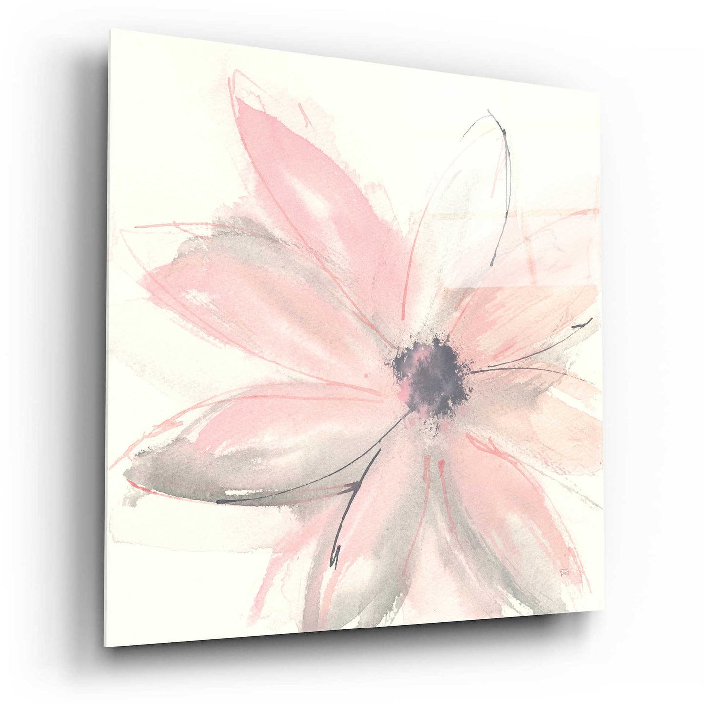 Epic Art  'Blush Clematis I' by Chris Paschke,12x12