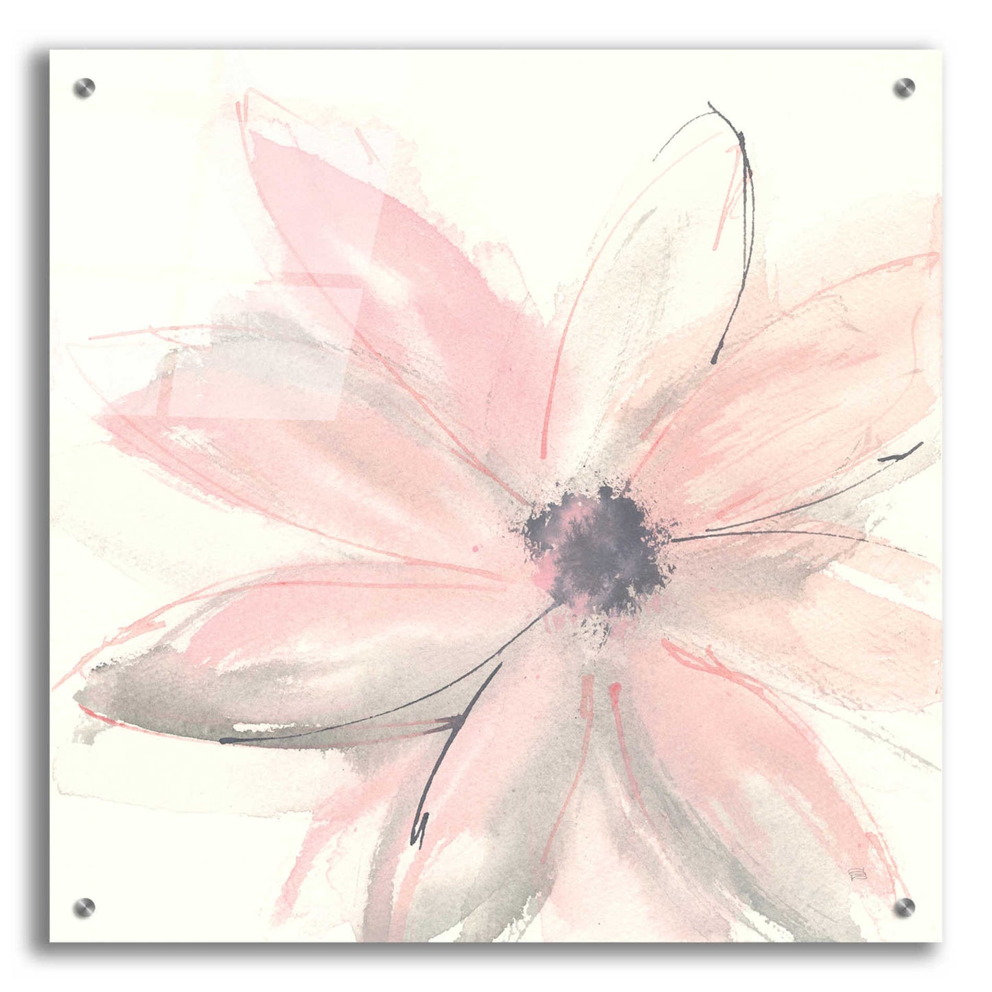 Epic Art  'Blush Clematis I' by Chris Paschke,24x24