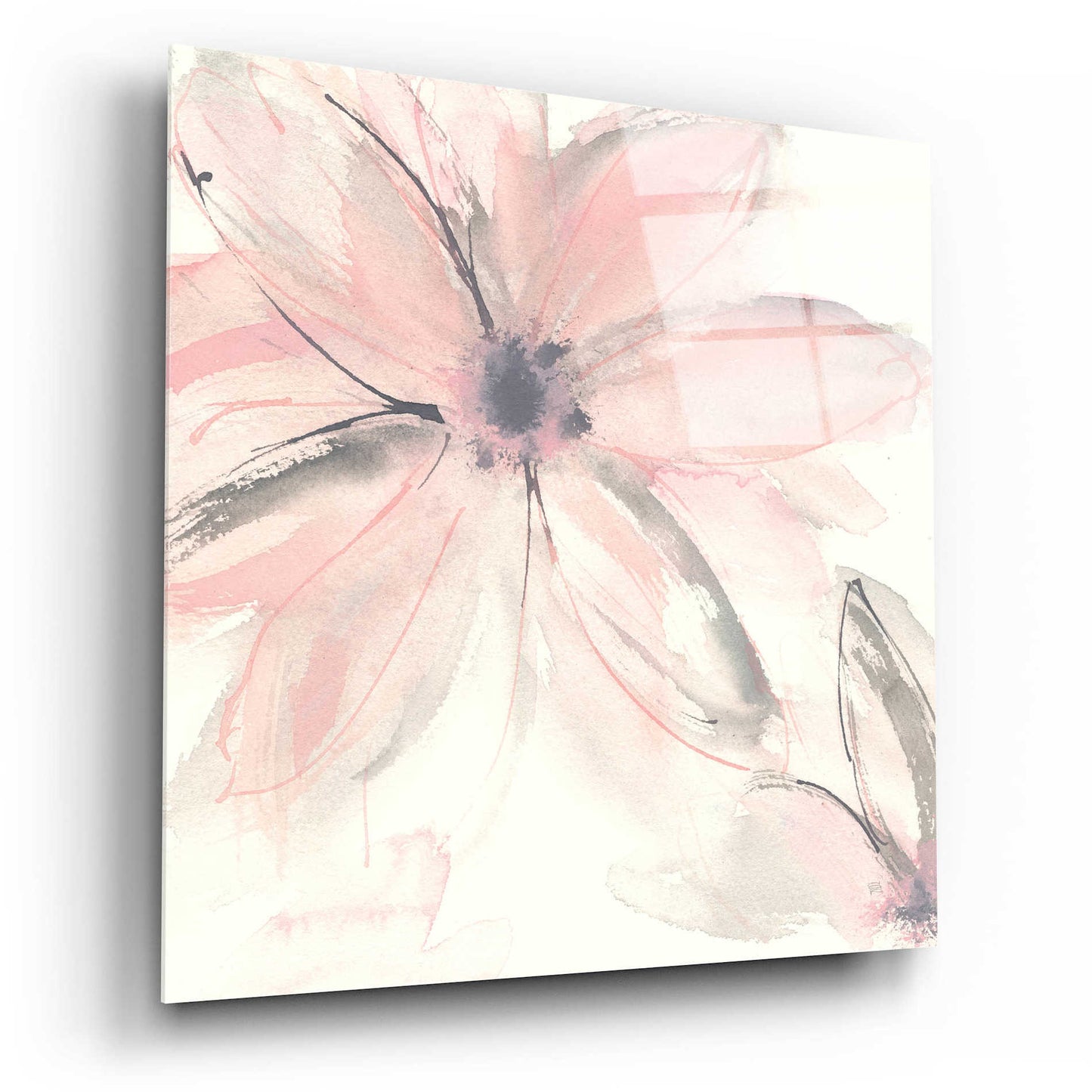 Epic Art  'Blush Clematis II' by Chris Paschke,12x12