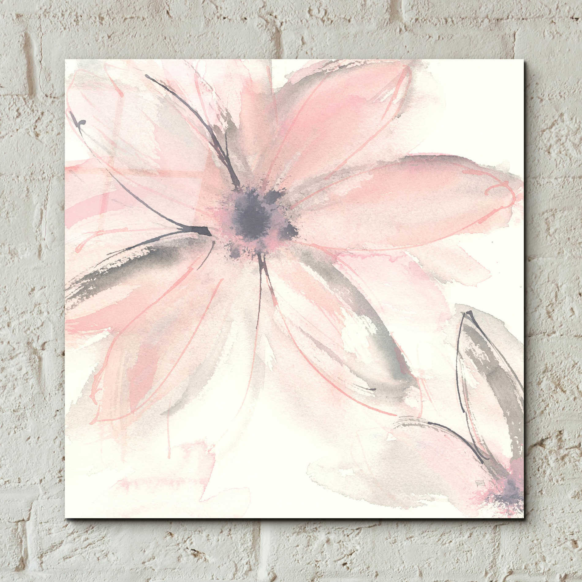 Epic Art  'Blush Clematis II' by Chris Paschke,12x12