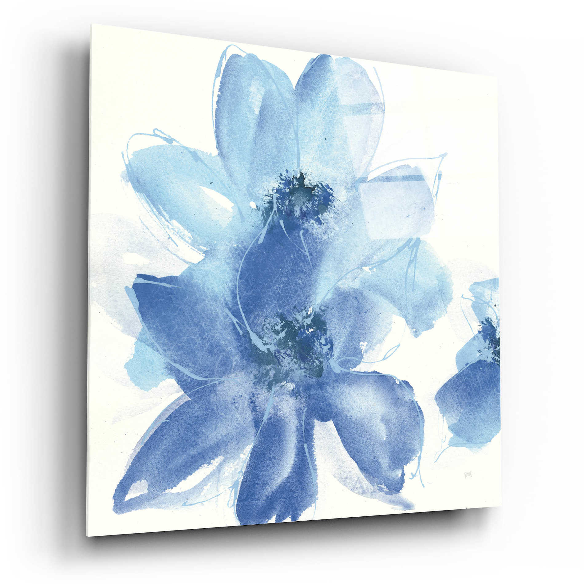 Epic Art  'Cobalt Clematis I' by Chris Paschke,12x12