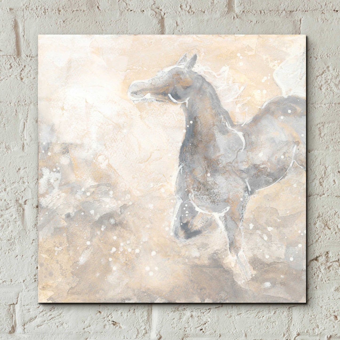 Epic Art  'Grey Horse II' by Chris Paschke,12x12