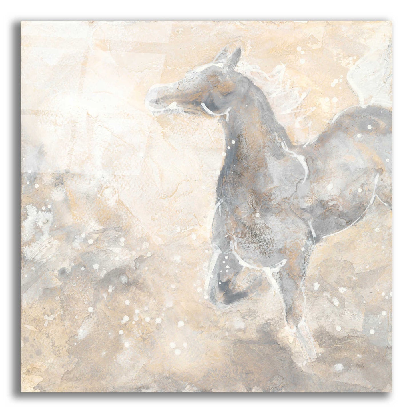 Epic Art  'Grey Horse II' by Chris Paschke,12x12