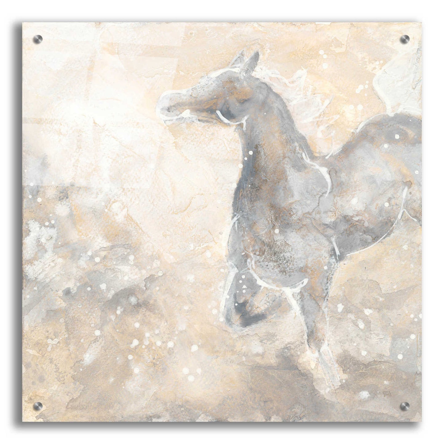 Epic Art  'Grey Horse II' by Chris Paschke,24x24