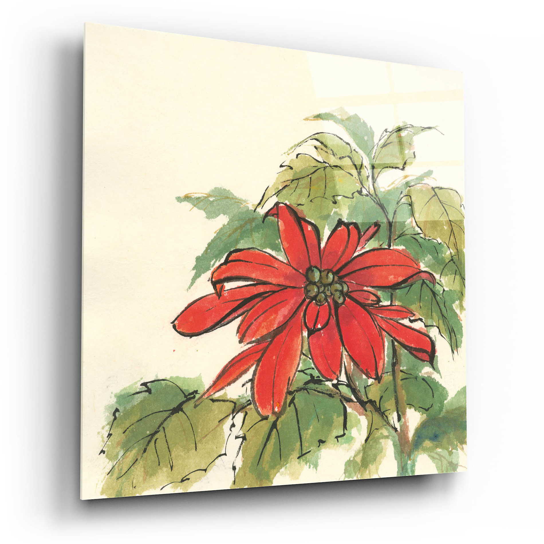 Epic Art  'Poinsettia I' by Chris Paschke,12x12