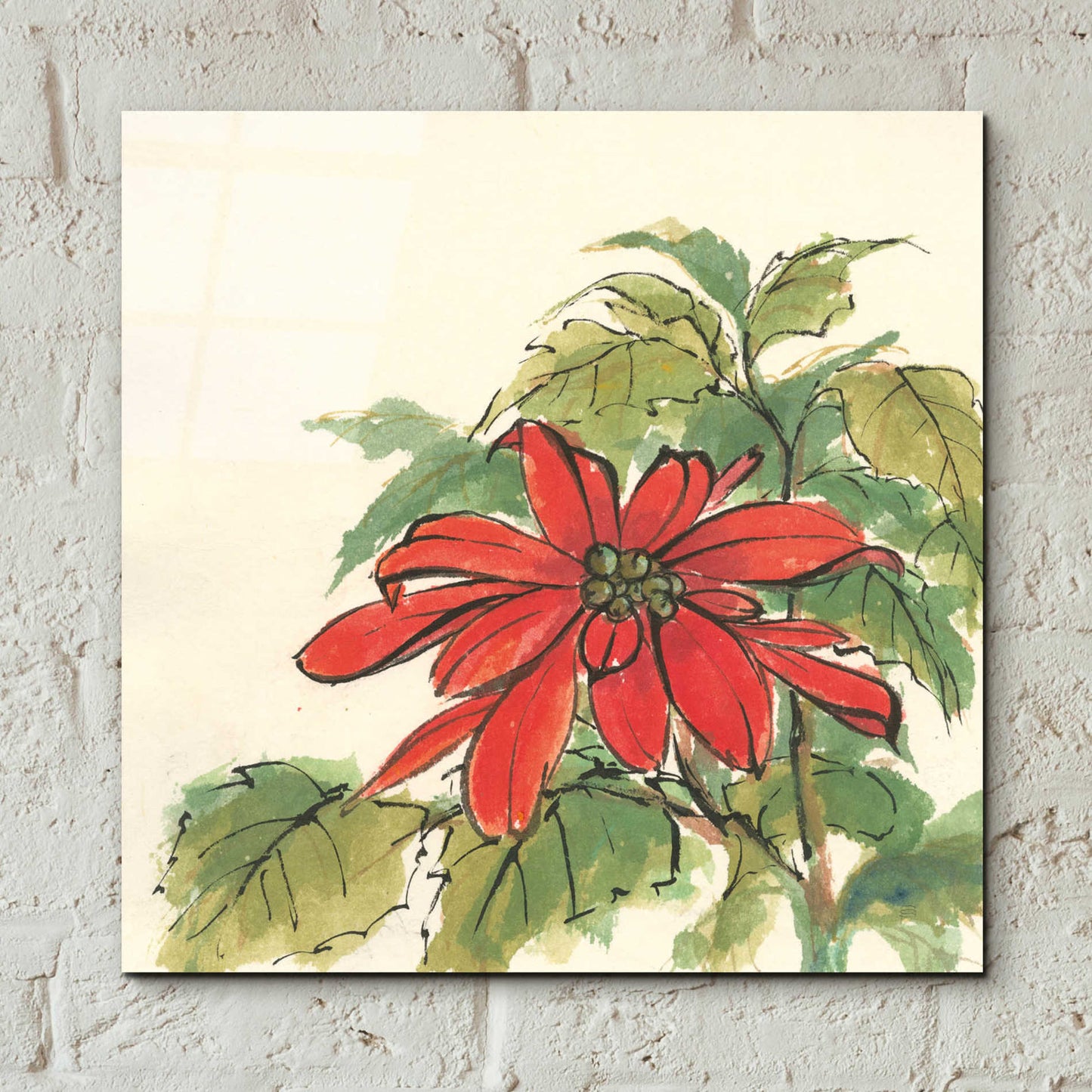 Epic Art  'Poinsettia I' by Chris Paschke,12x12