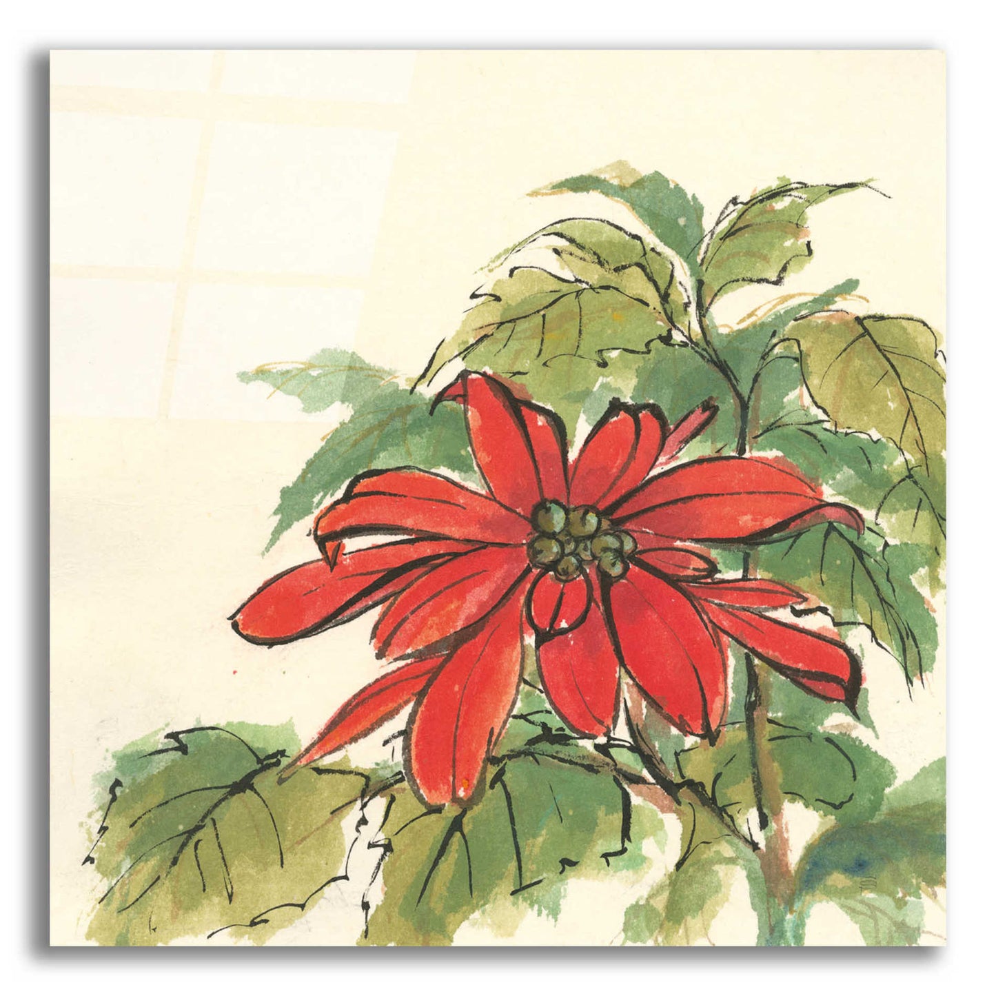 Epic Art  'Poinsettia I' by Chris Paschke,12x12