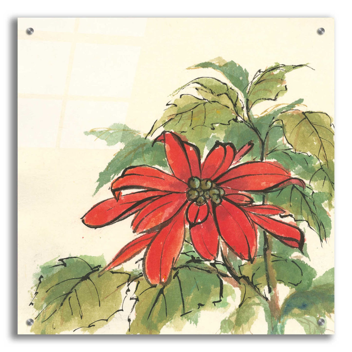 Epic Art  'Poinsettia I' by Chris Paschke,24x24