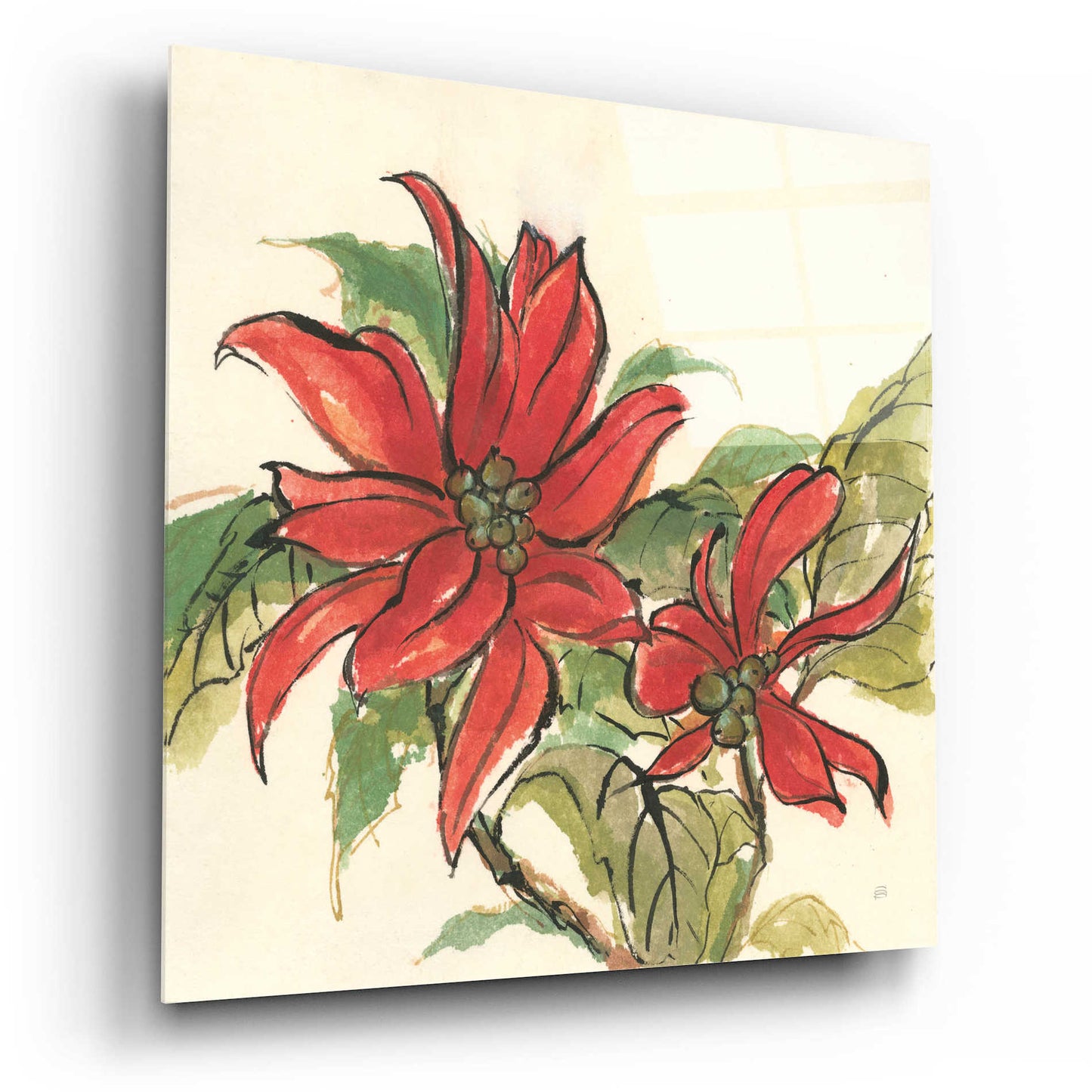 Epic Art  'Poinsettia II' by Chris Paschke,12x12