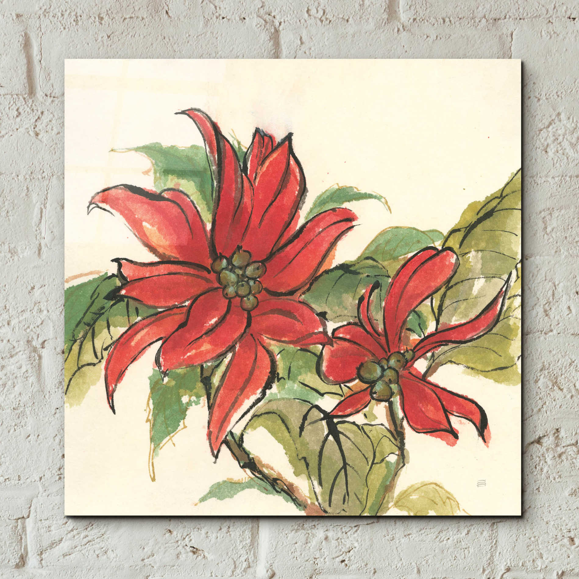 Epic Art  'Poinsettia II' by Chris Paschke,12x12