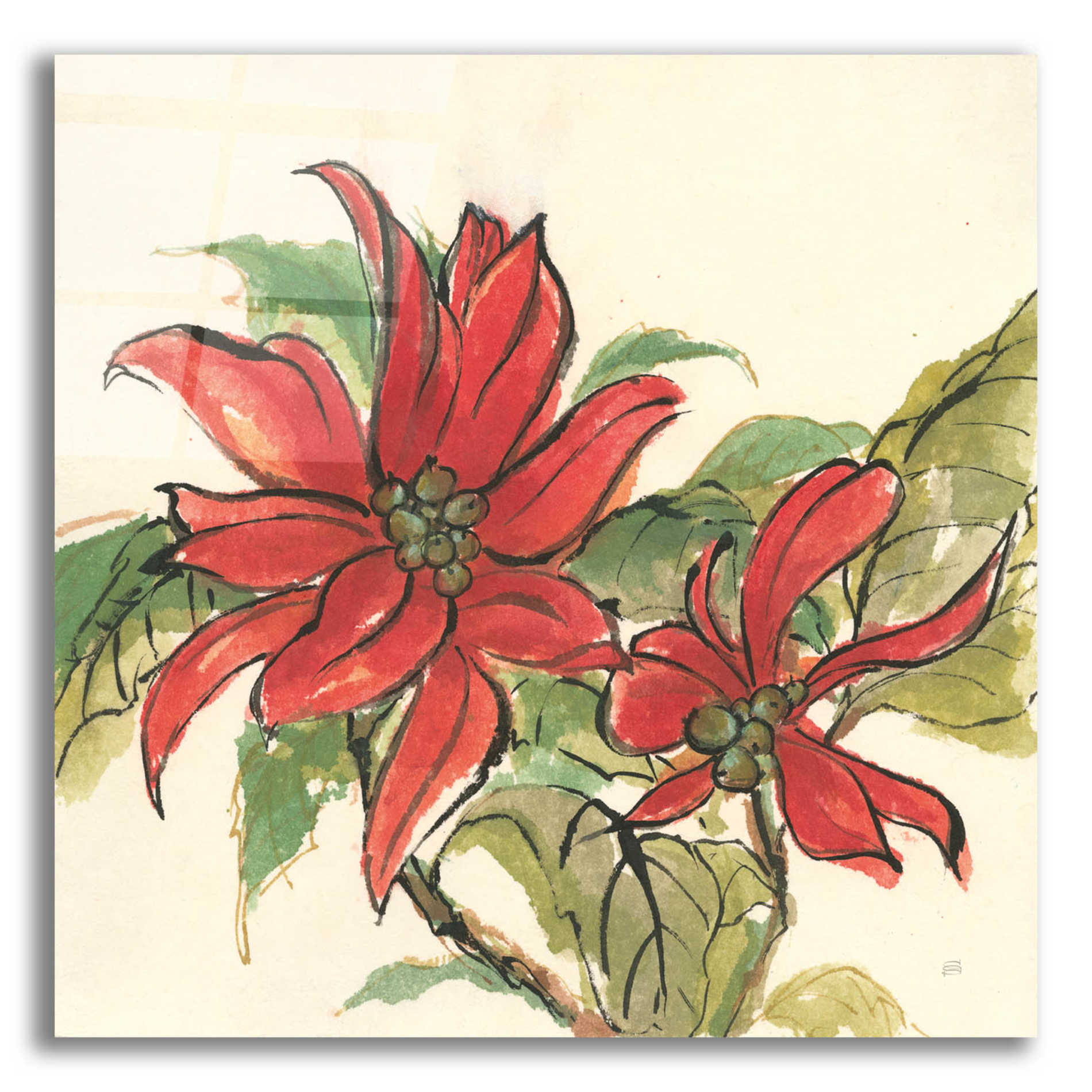 Epic Art  'Poinsettia II' by Chris Paschke,12x12