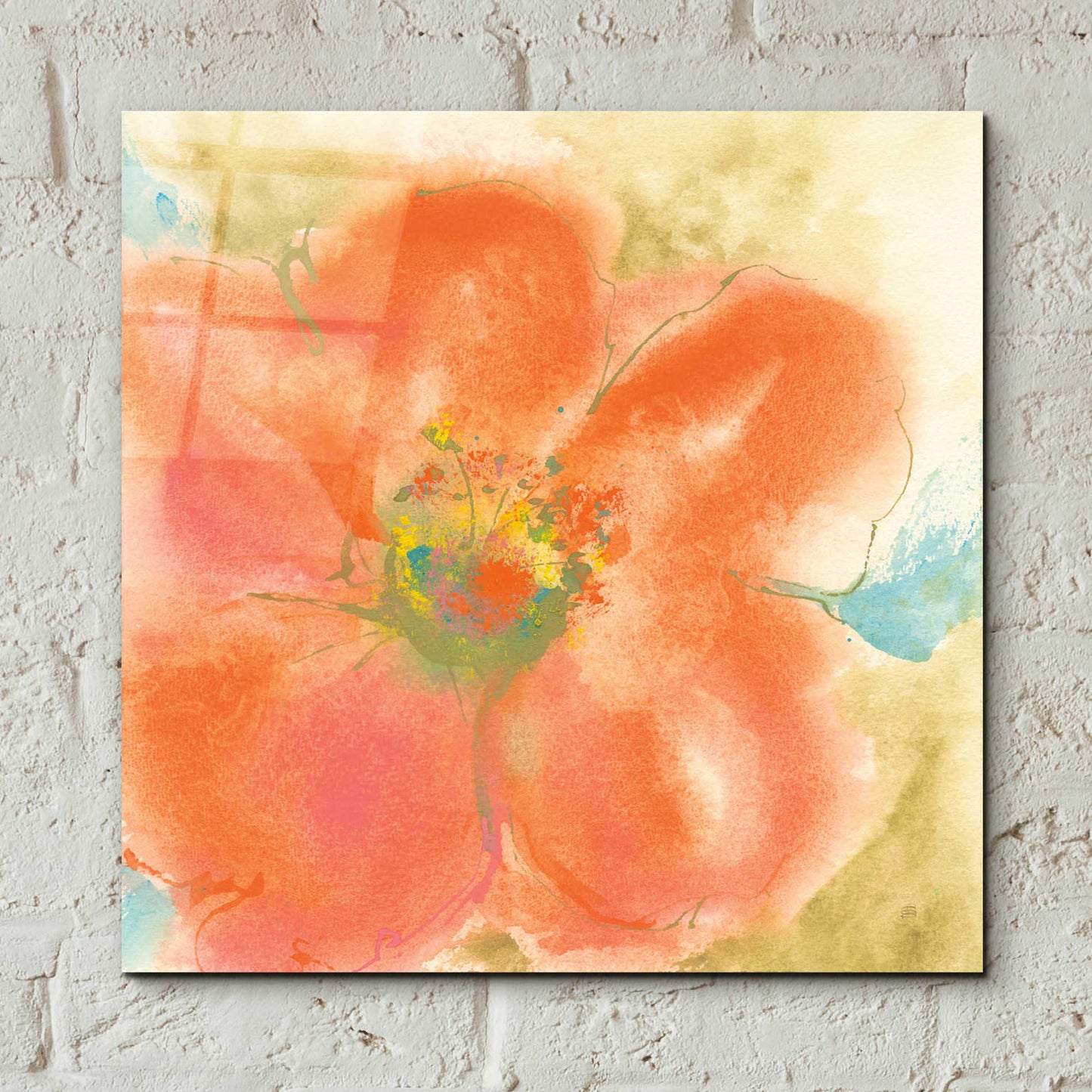 Epic Art  'Coral Poppy II' by Chris Paschke,12x12