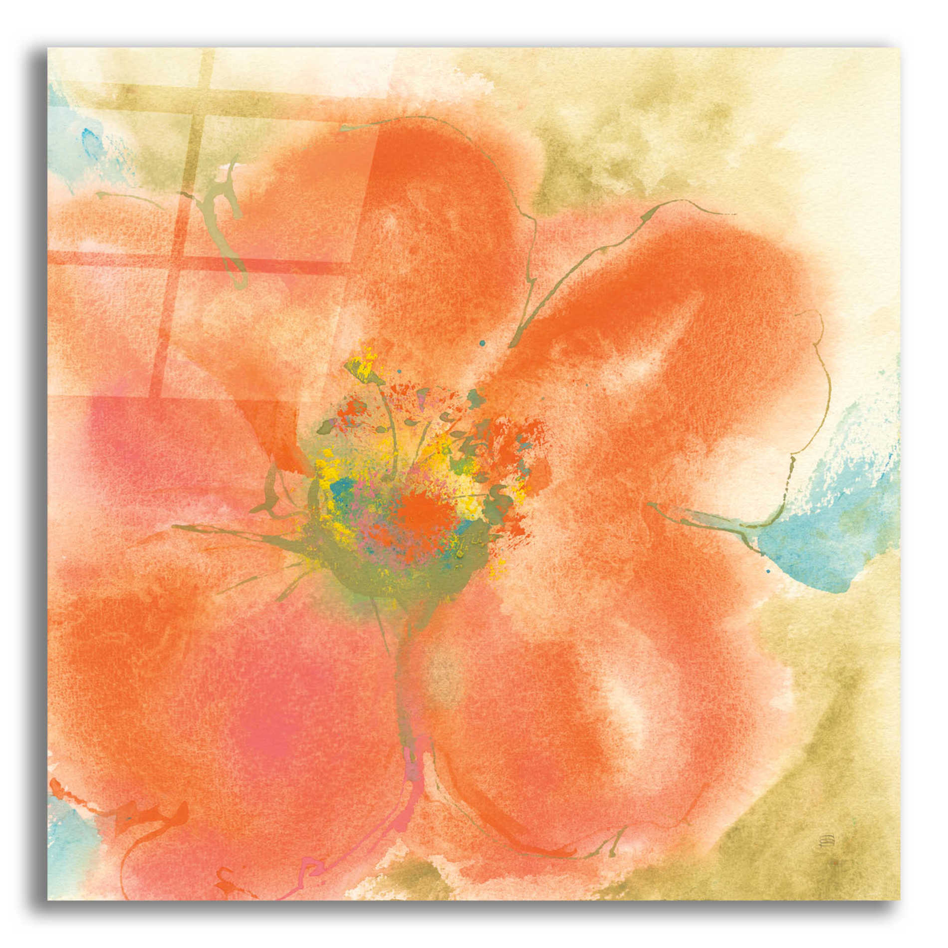 Epic Art  'Coral Poppy II' by Chris Paschke,12x12