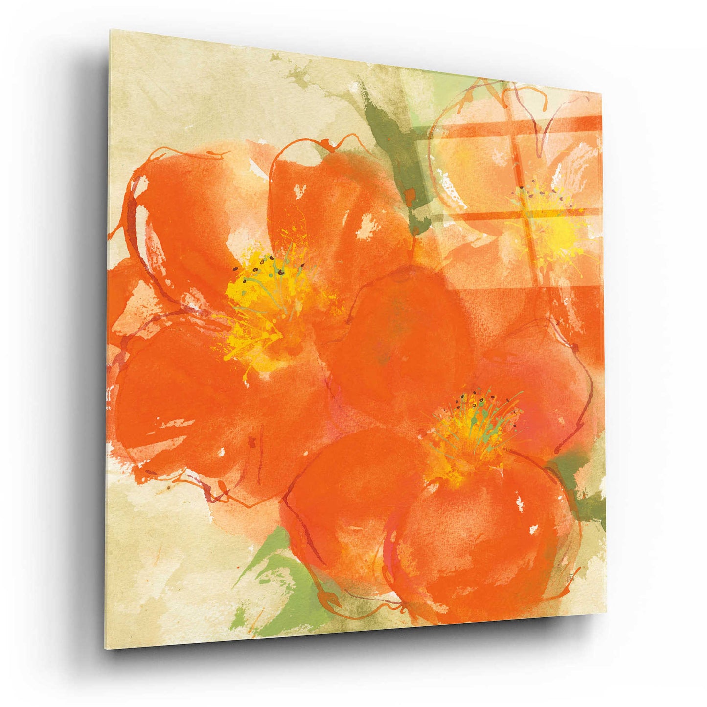 Epic Art  'Tangerine Poppies II' by Chris Paschke,12x12