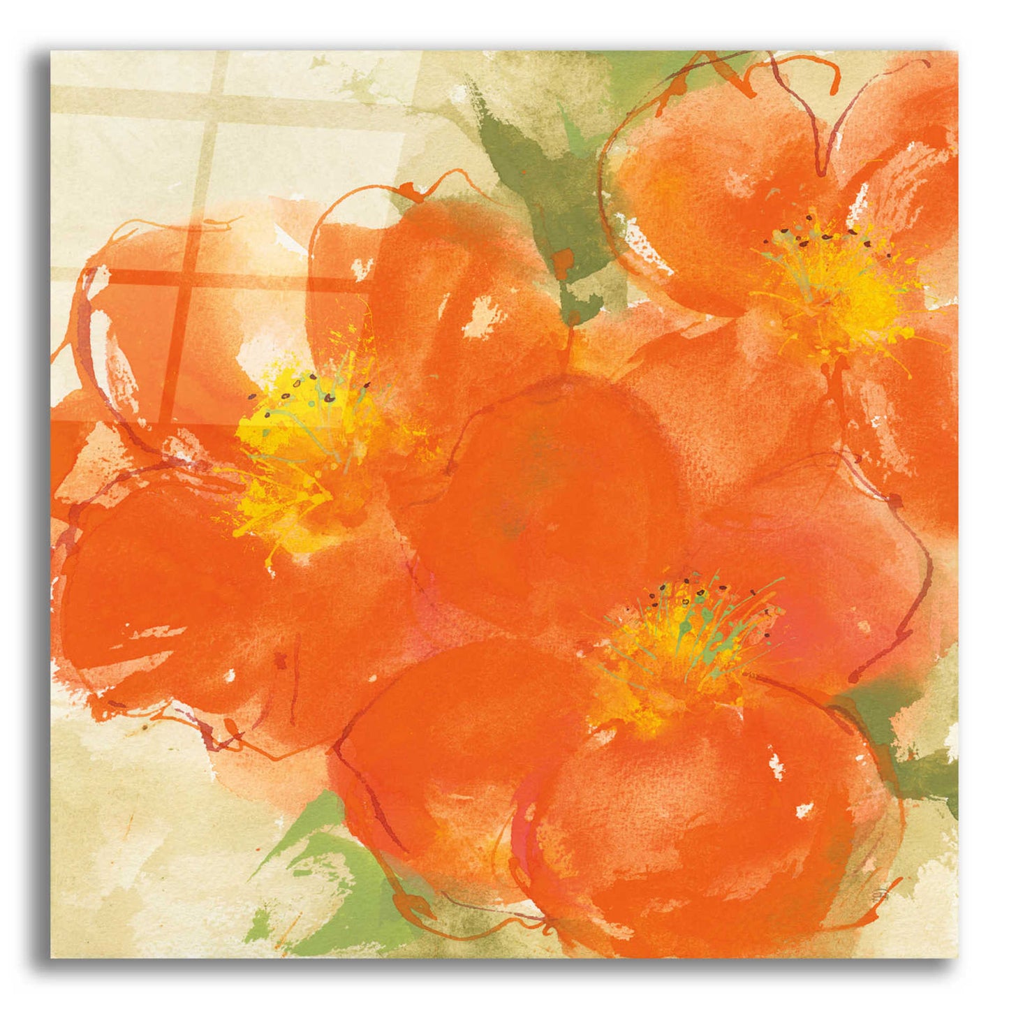 Epic Art  'Tangerine Poppies II' by Chris Paschke,12x12