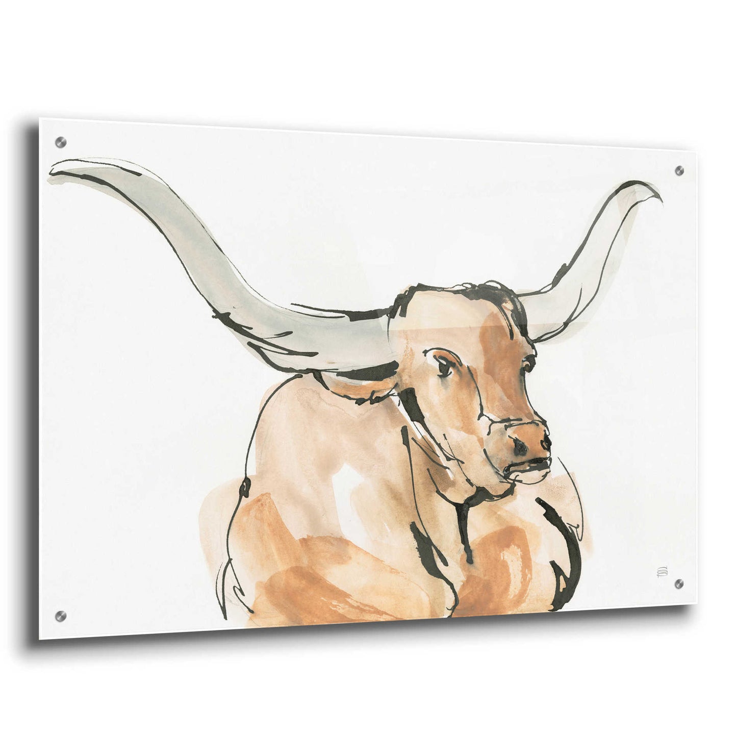 Epic Art  'Longhorn I' by Chris Paschke,36x24