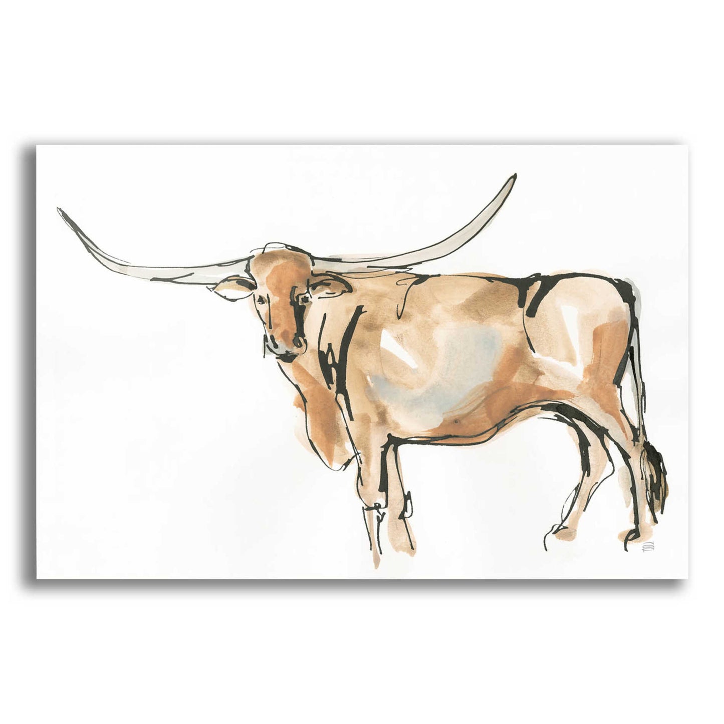 Epic Art  'Longhorn II' by Chris Paschke,24x16