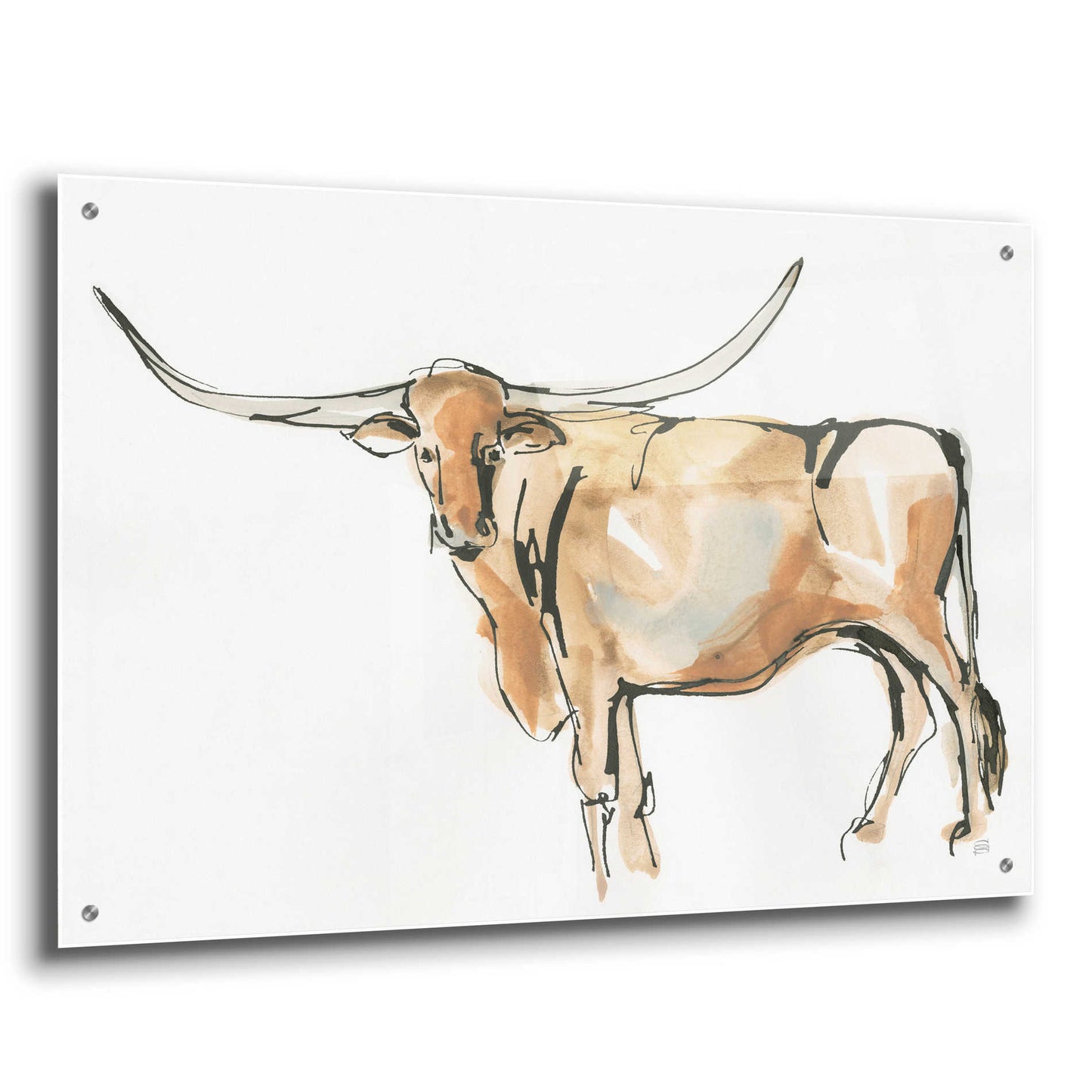 Epic Art  'Longhorn II' by Chris Paschke,36x24