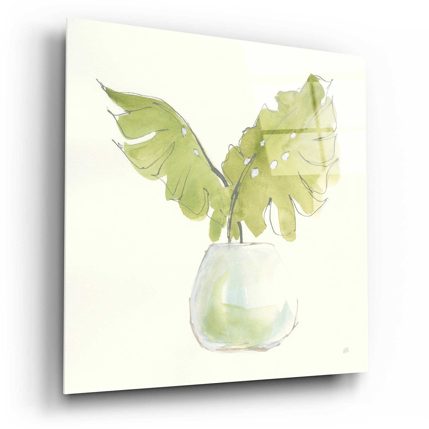 Epic Art  'Plant Big Leaf II' by Chris Paschke,12x12