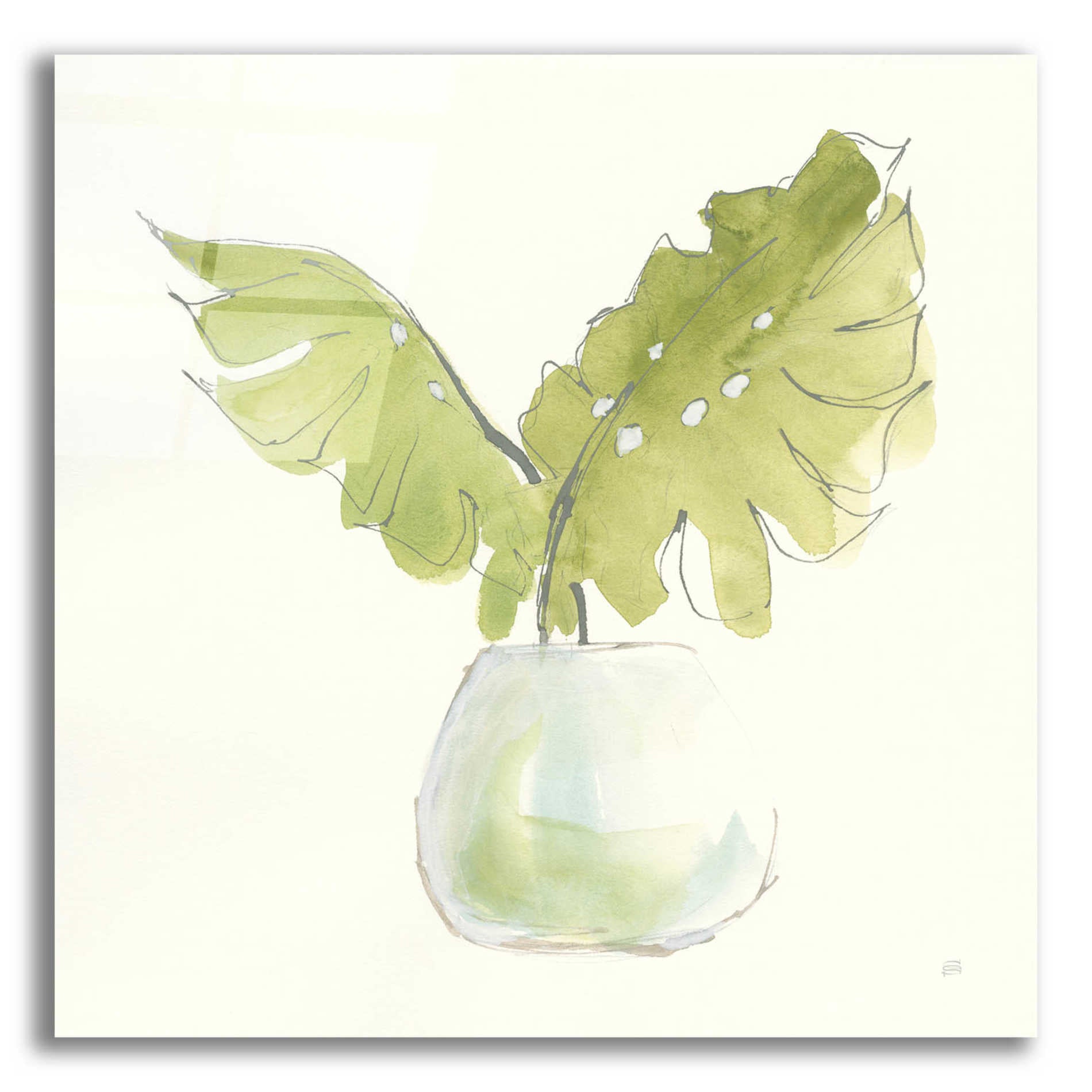 Epic Art  'Plant Big Leaf II' by Chris Paschke,12x12