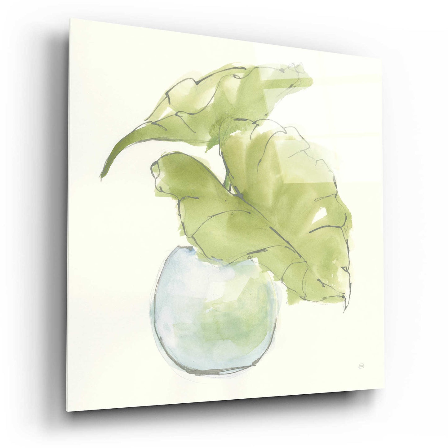 Epic Art  'Plant Big Leaf III' by Chris Paschke,12x12