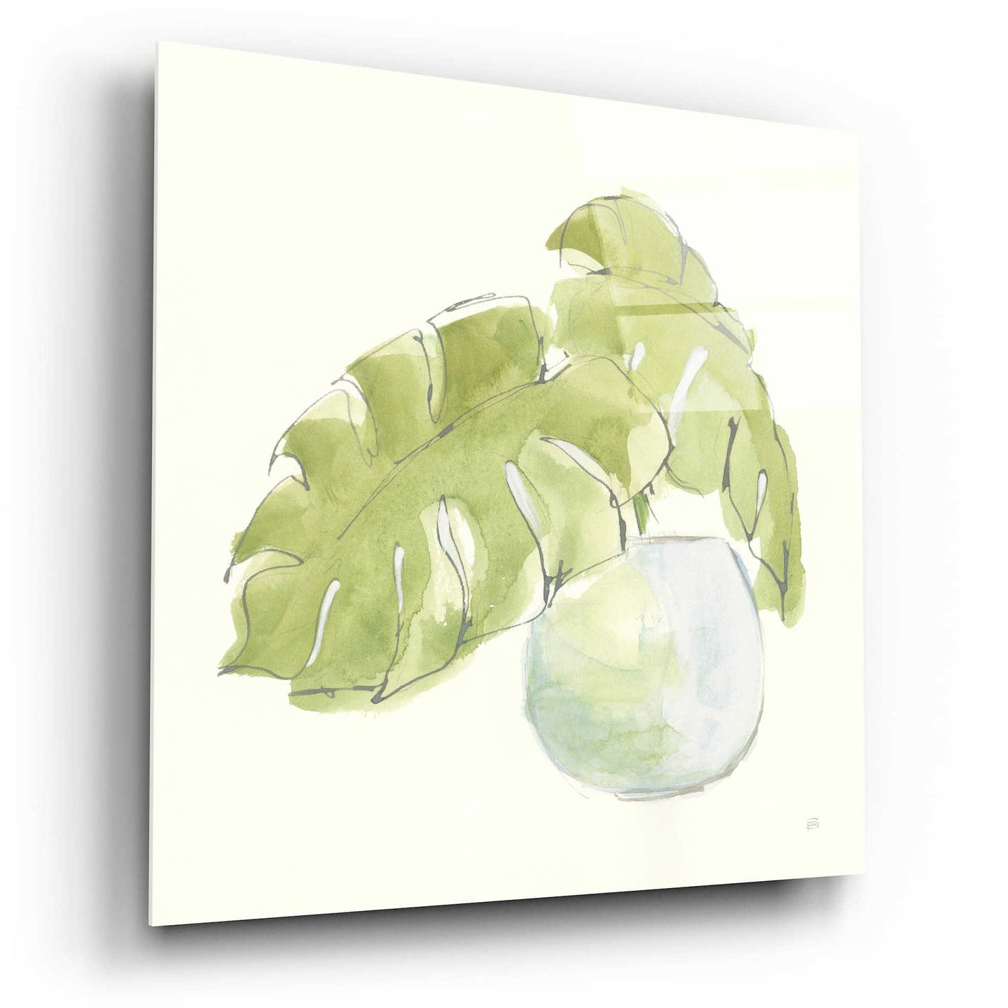 Epic Art  'Plant Big Leaf IV' by Chris Paschke,12x12