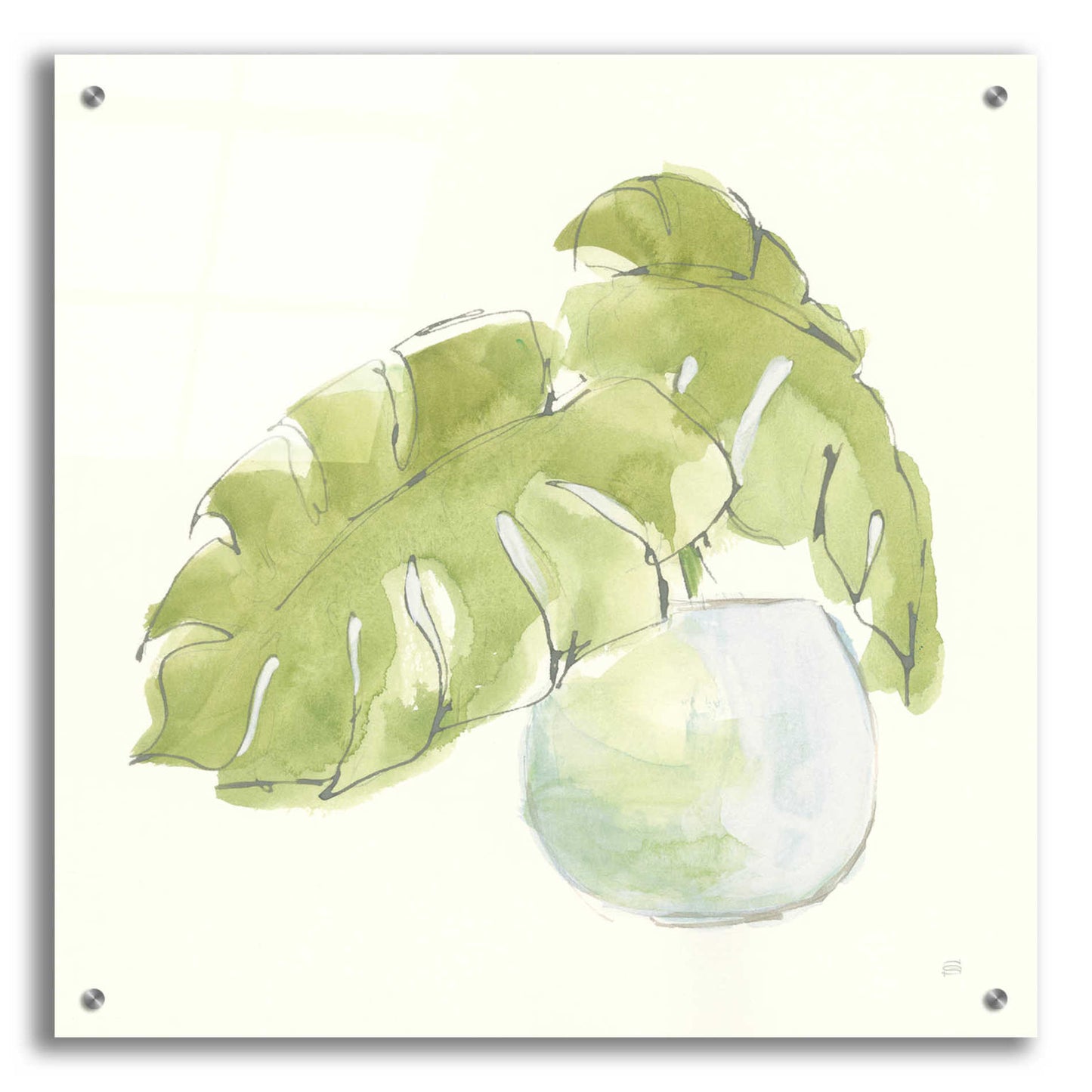 Epic Art  'Plant Big Leaf IV' by Chris Paschke,24x24