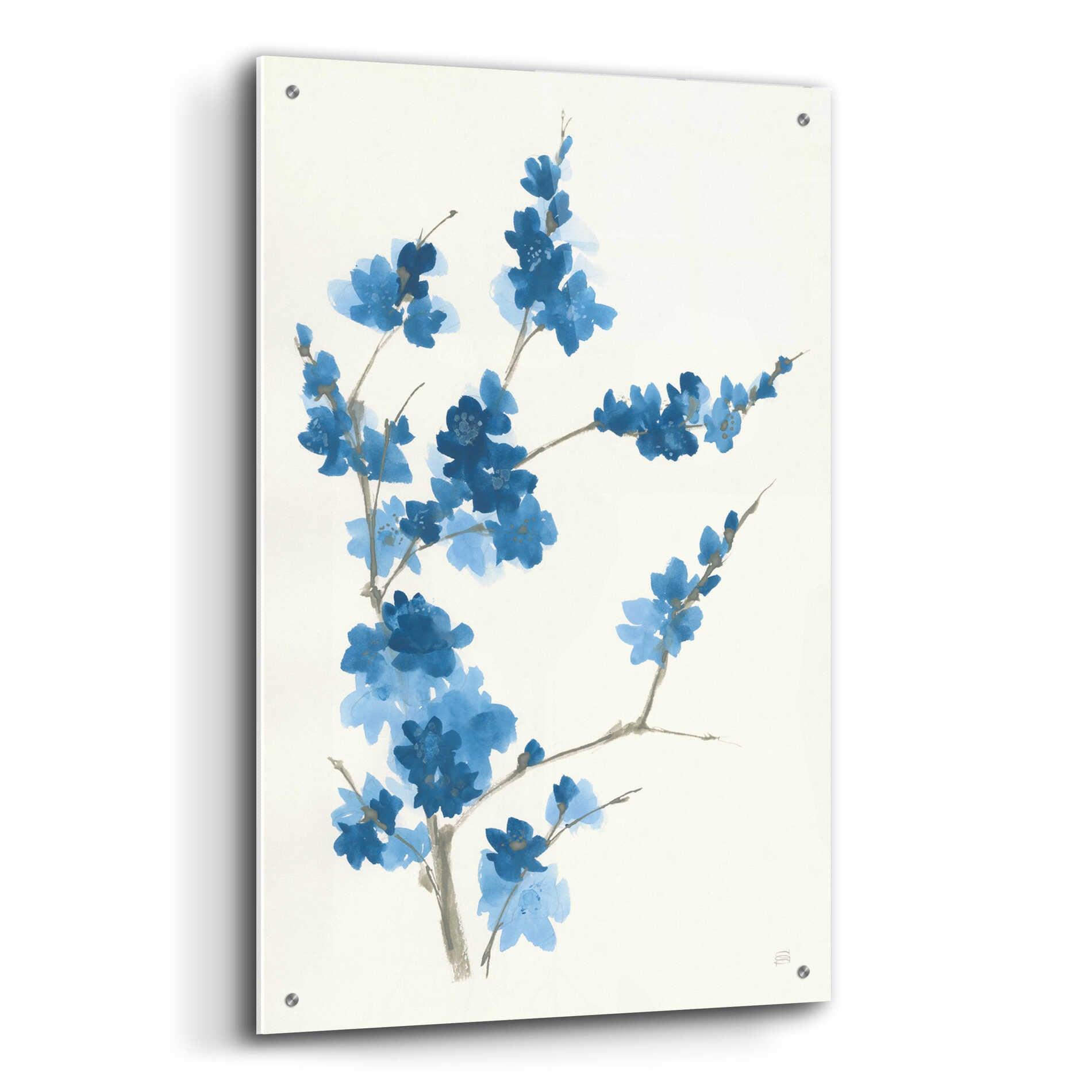 Epic Art 'Blue Branch I' by Chris Paschke, Acrylic Glass Wall Art,24x36