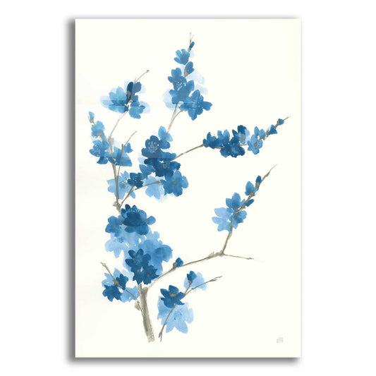 Epic Art 'Blue Branch I' by Chris Paschke, Acrylic Glass Wall Art