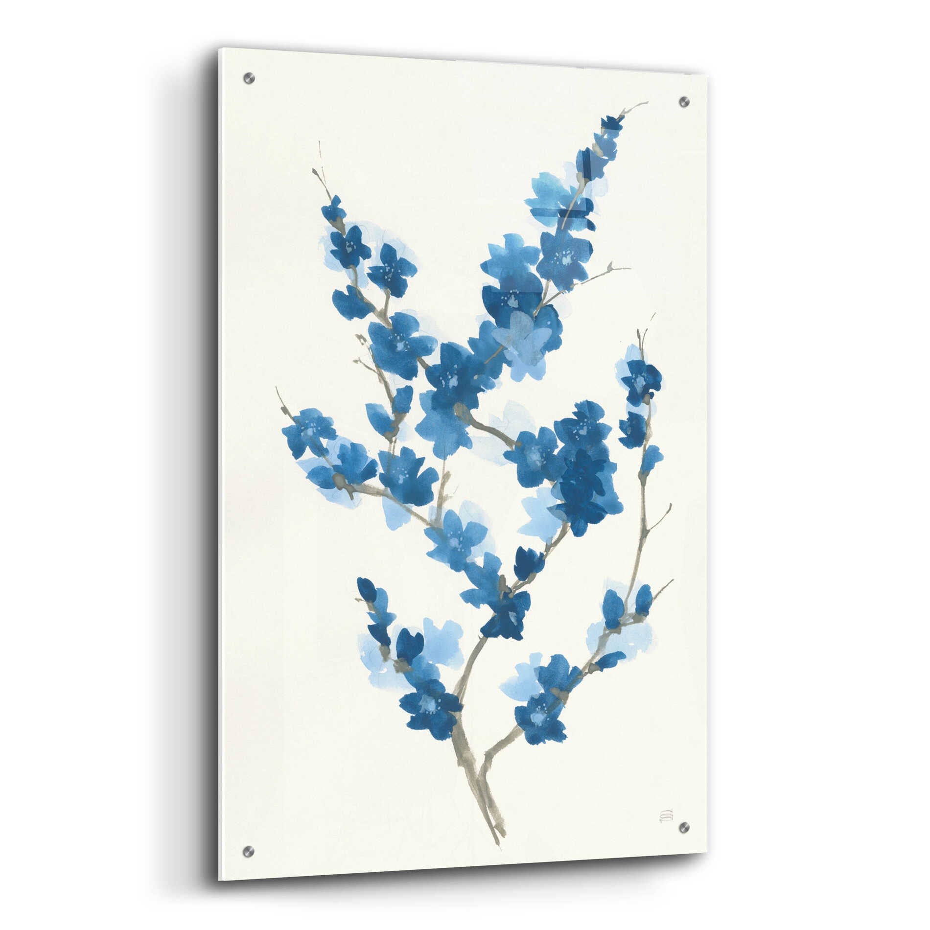 Epic Art 'Blue Branch II' by Chris Paschke, Acrylic Glass Wall Art,24x36