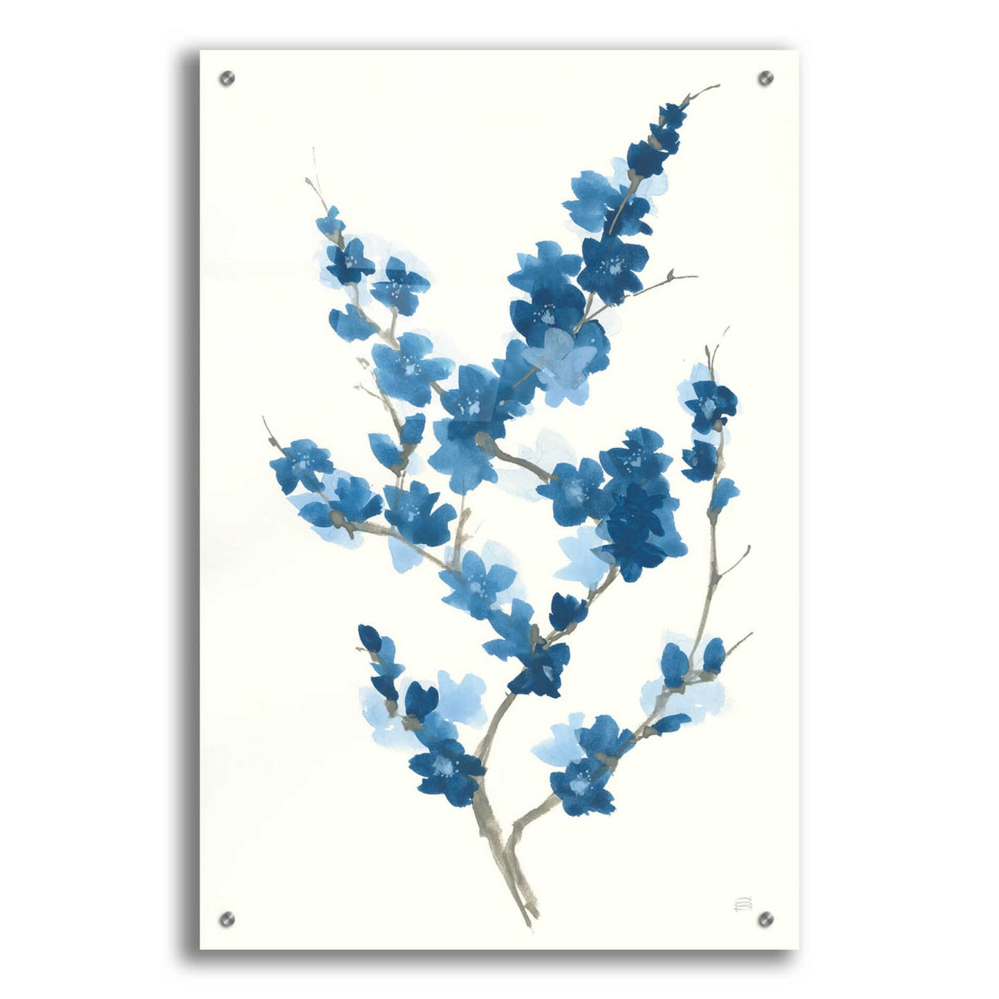 Epic Art 'Blue Branch II' by Chris Paschke, Acrylic Glass Wall Art,24x36