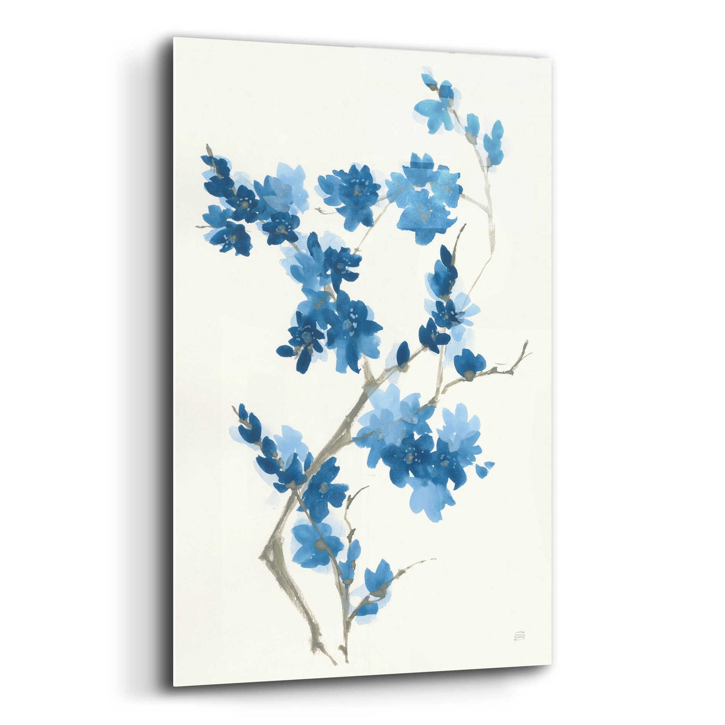 Epic Art 'Blue Branch III' by Chris Paschke, Acrylic Glass Wall Art,12x16