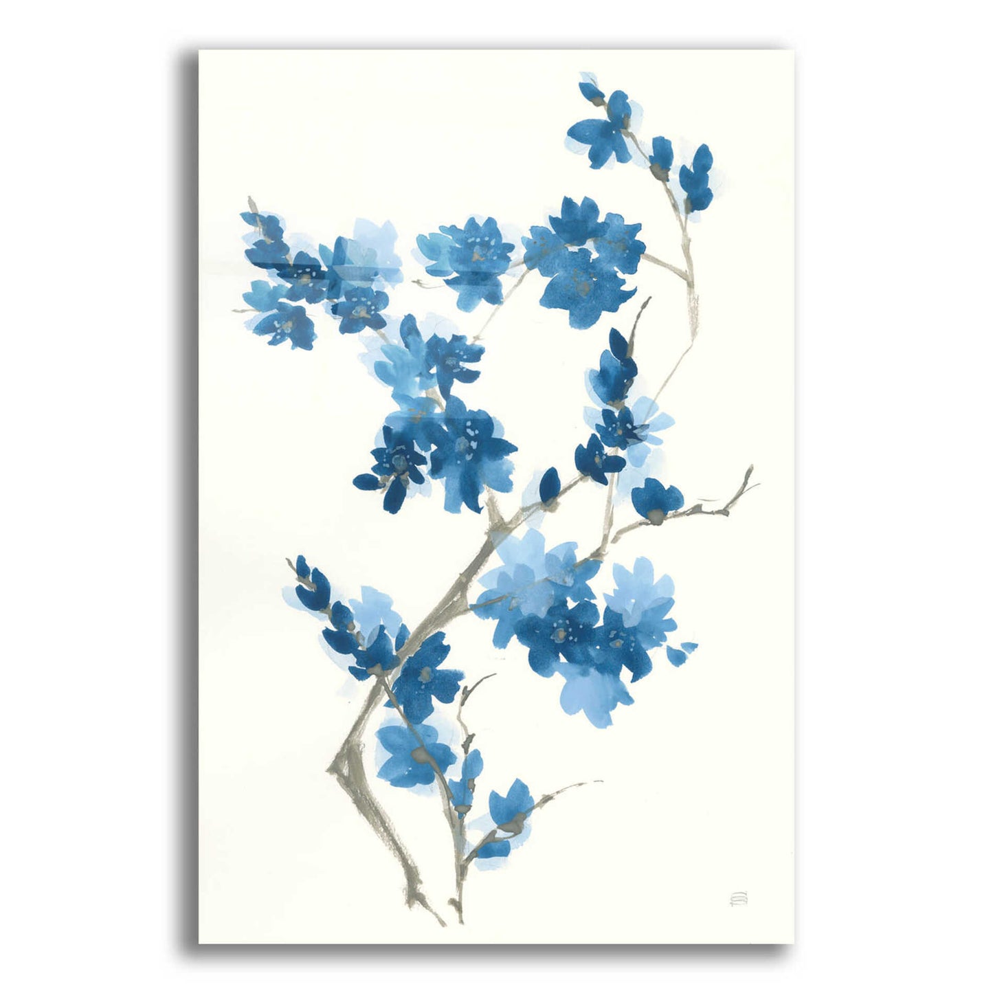 Epic Art 'Blue Branch III' by Chris Paschke, Acrylic Glass Wall Art,12x16