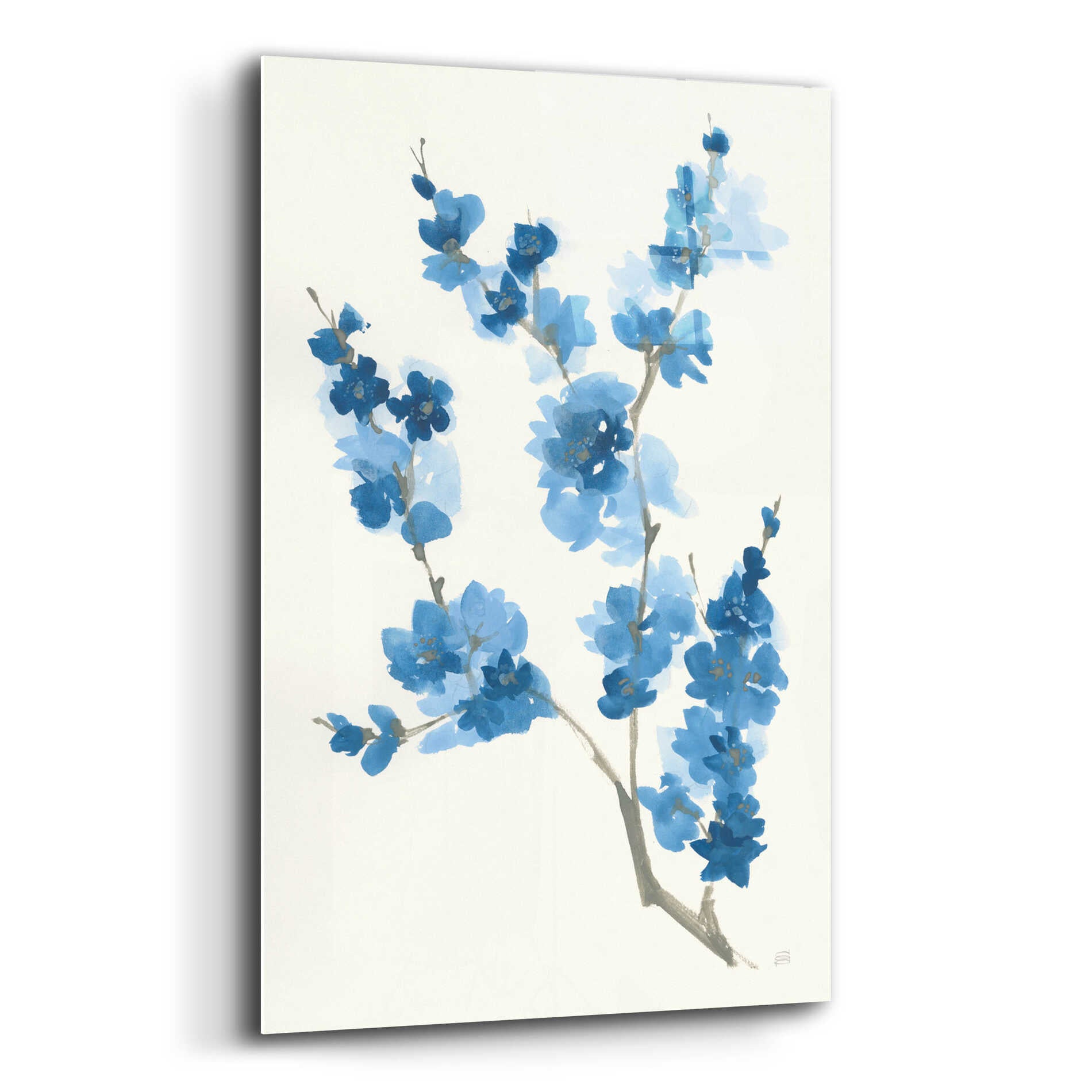 Epic Art 'Blue Branch IV' by Chris Paschke, Acrylic Glass Wall Art,12x16