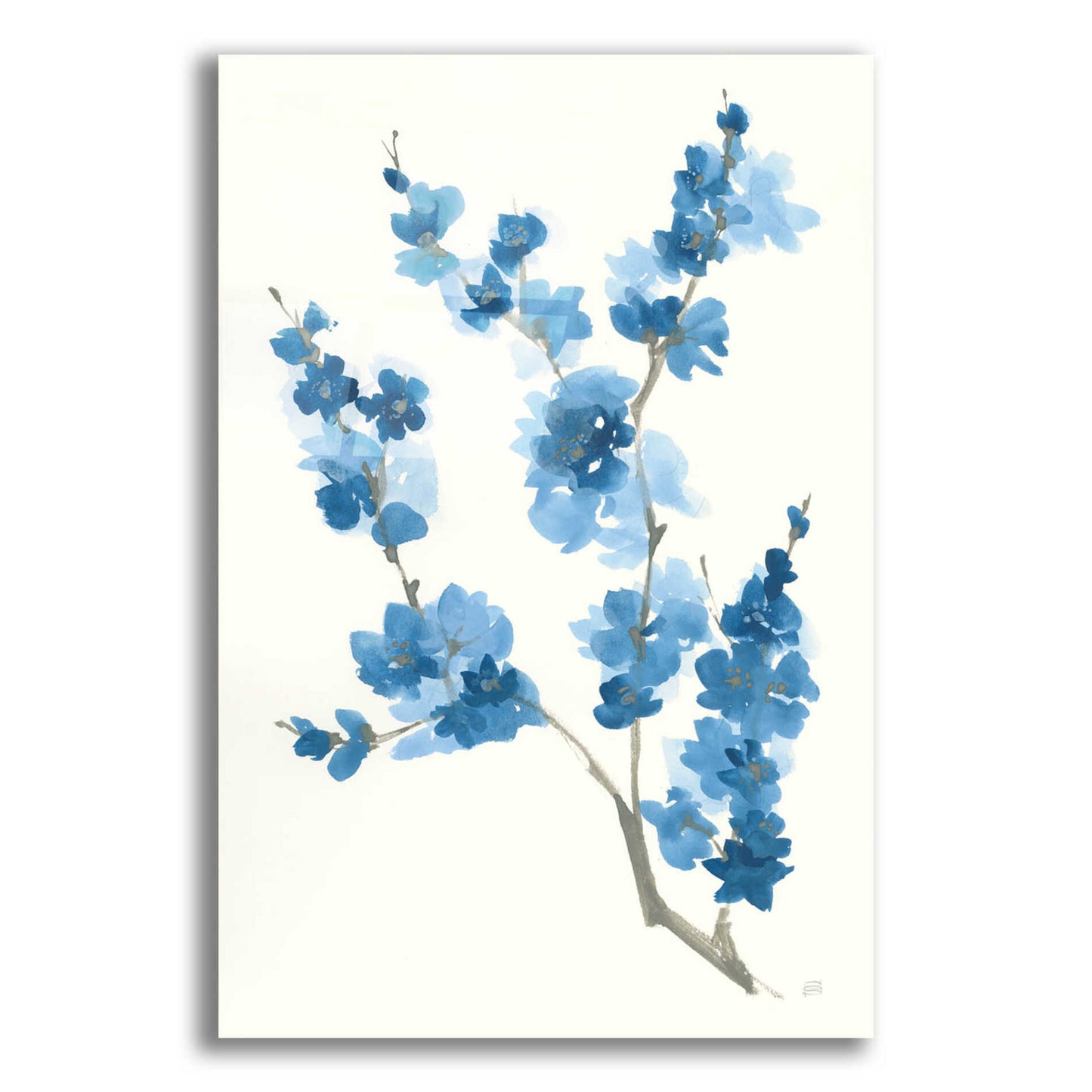 Epic Art 'Blue Branch IV' by Chris Paschke, Acrylic Glass Wall Art,16x24