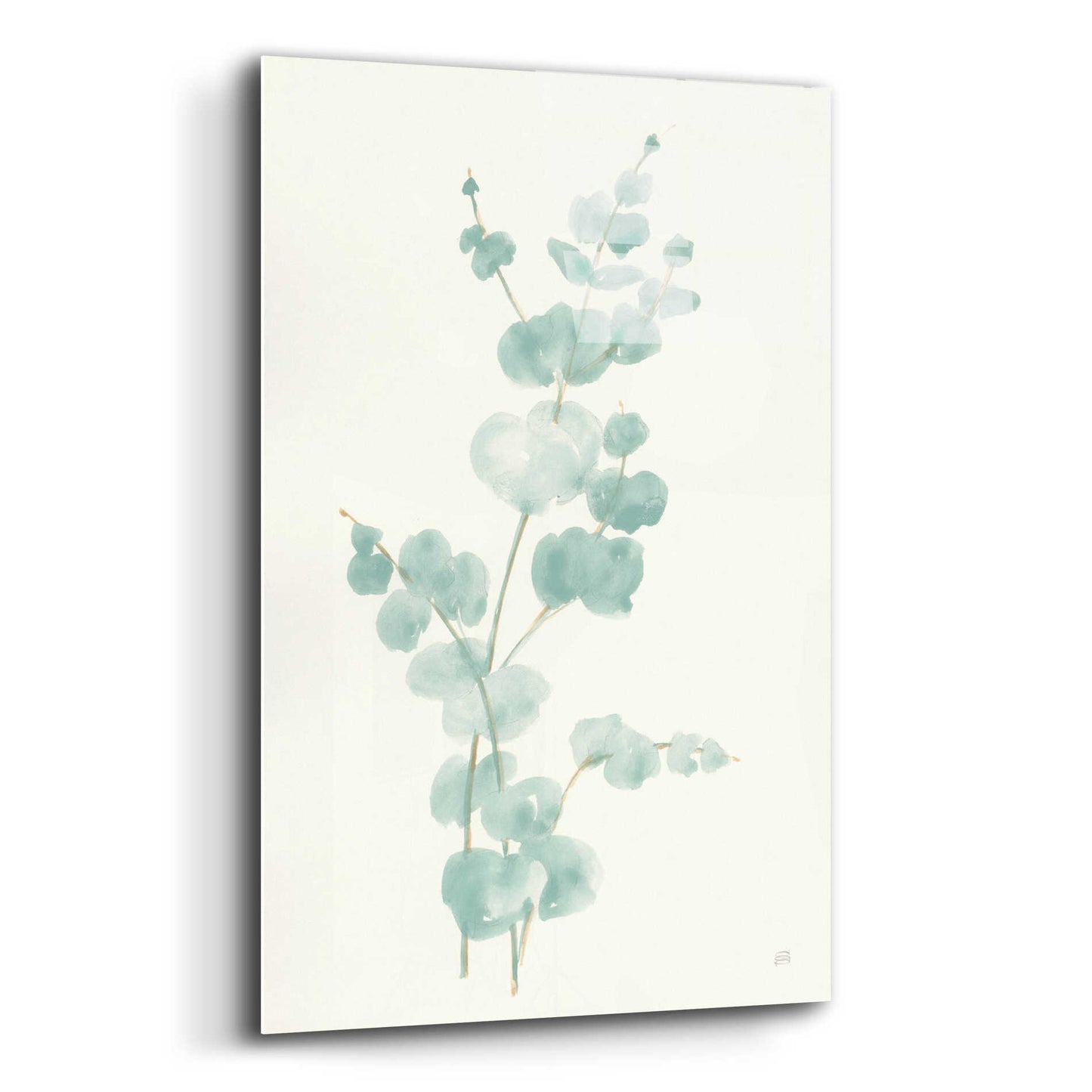 Epic Art 'Eucalyptus Branch II' by Chris Paschke, Acrylic Glass Wall Art,12x16