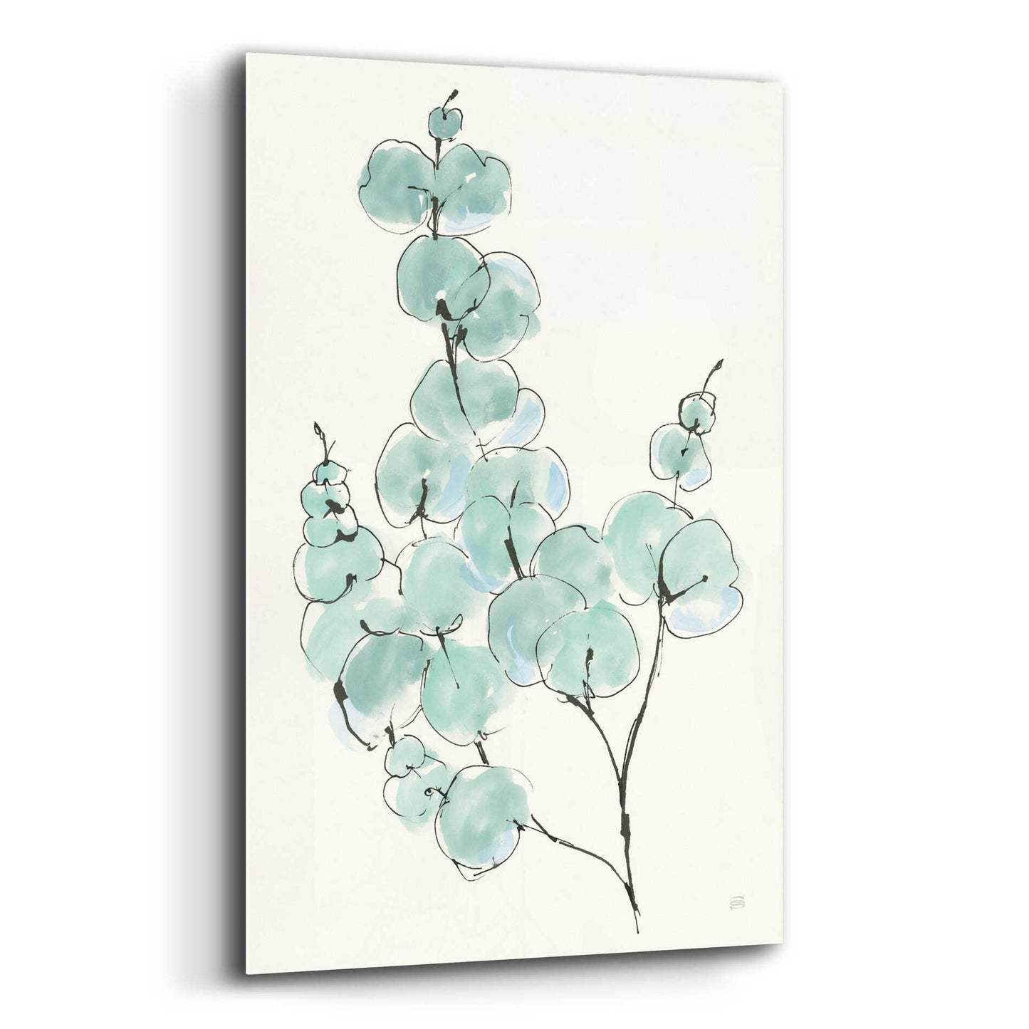 Epic Art 'Eucalyptus Branch III' by Chris Paschke, Acrylic Glass Wall Art,12x16