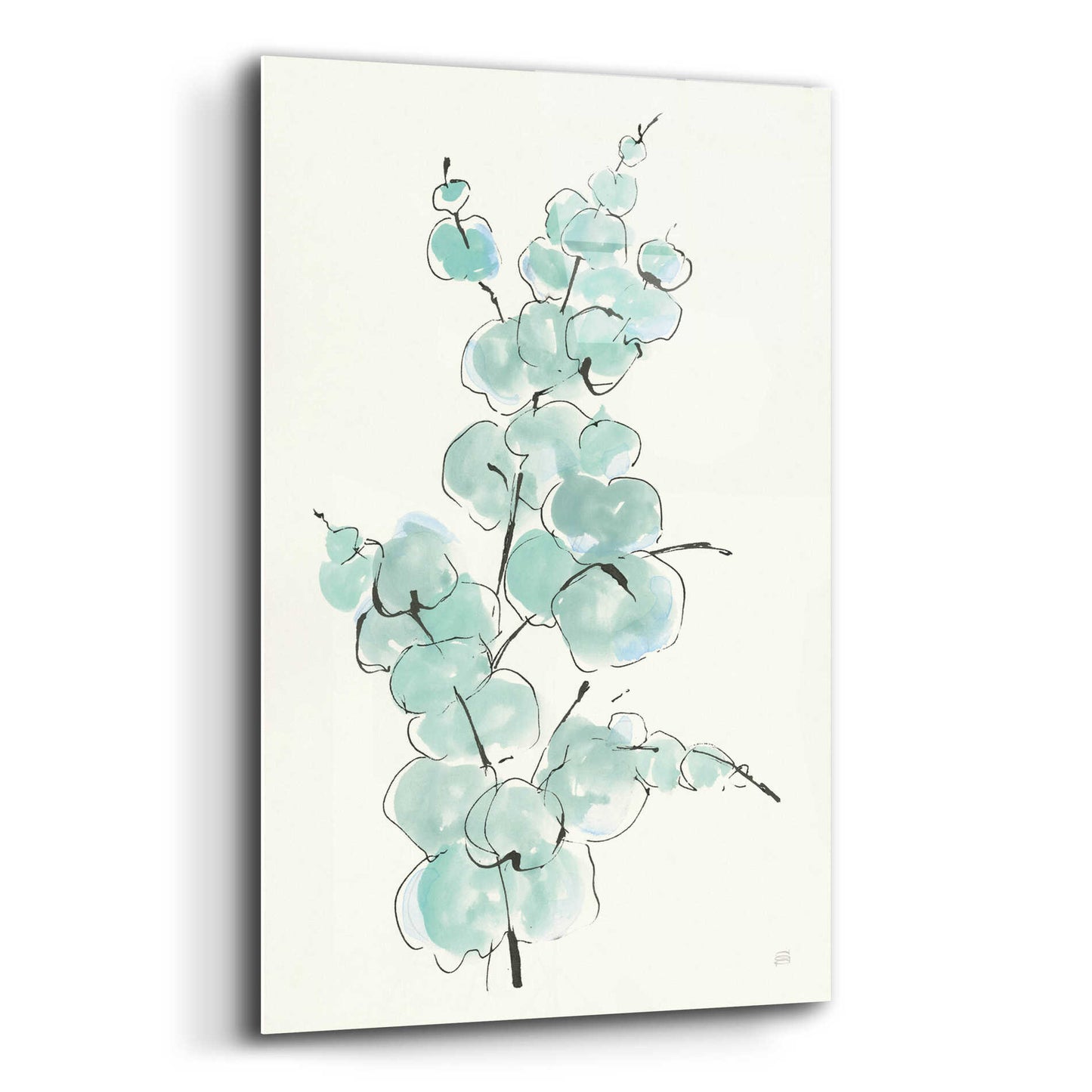 Epic Art 'Eucalyptus Branch IV' by Chris Paschke, Acrylic Glass Wall Art,12x16