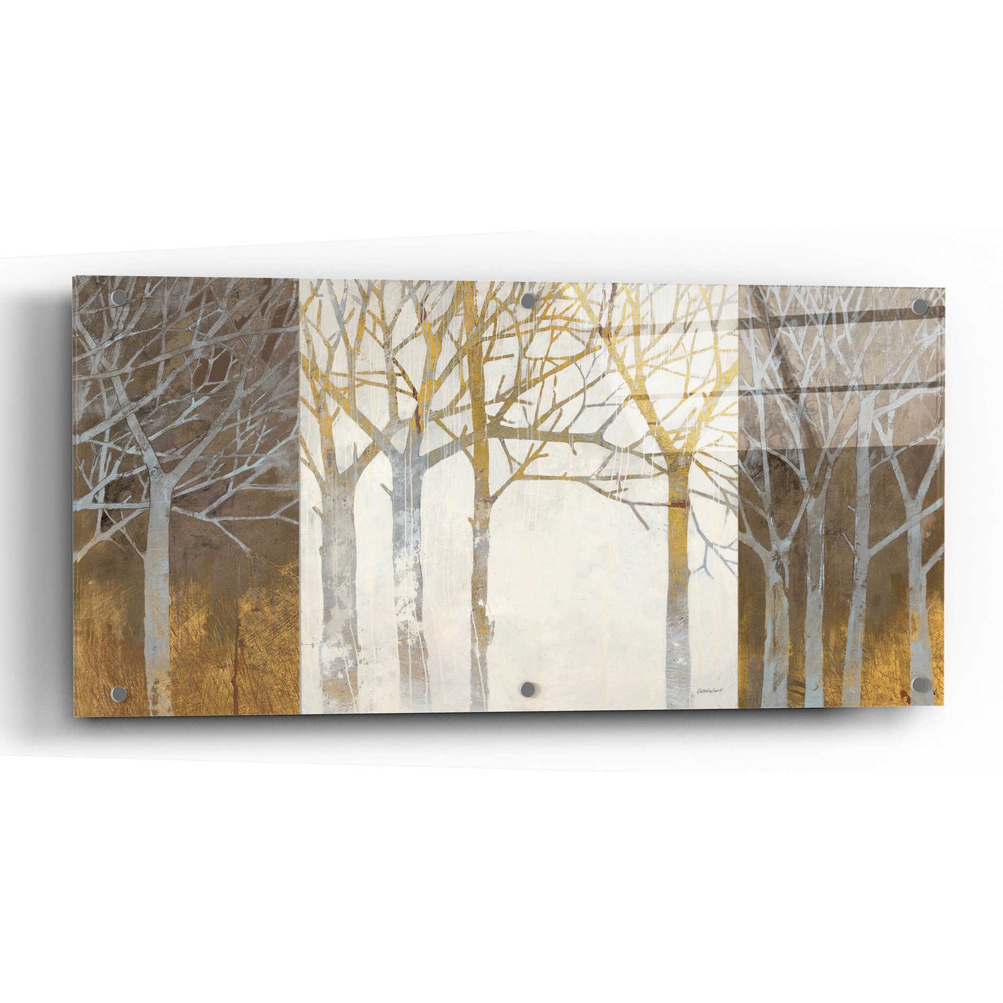 Epic Art 'Night and Day' by Katherine Lovell, Acrylic Glass Wall Art,48x24