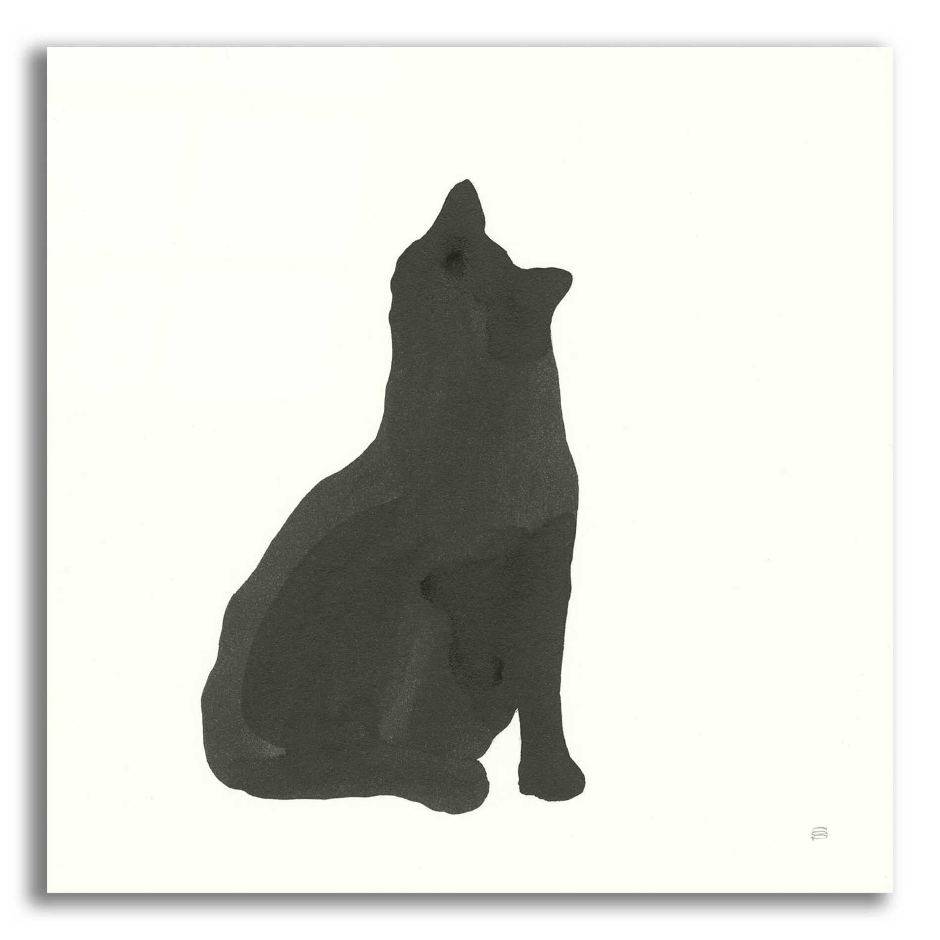 Epic Art 'Black Cat I' by Chris Paschke, Acrylic Glass Wall Art,12x12
