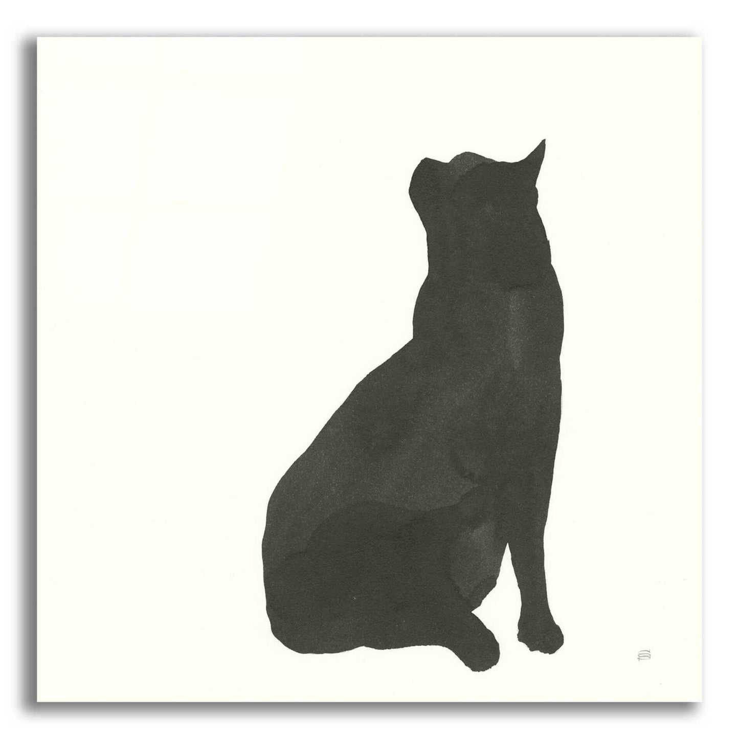 Epic Art 'Black Cat II' by Chris Paschke, Acrylic Glass Wall Art,36x36