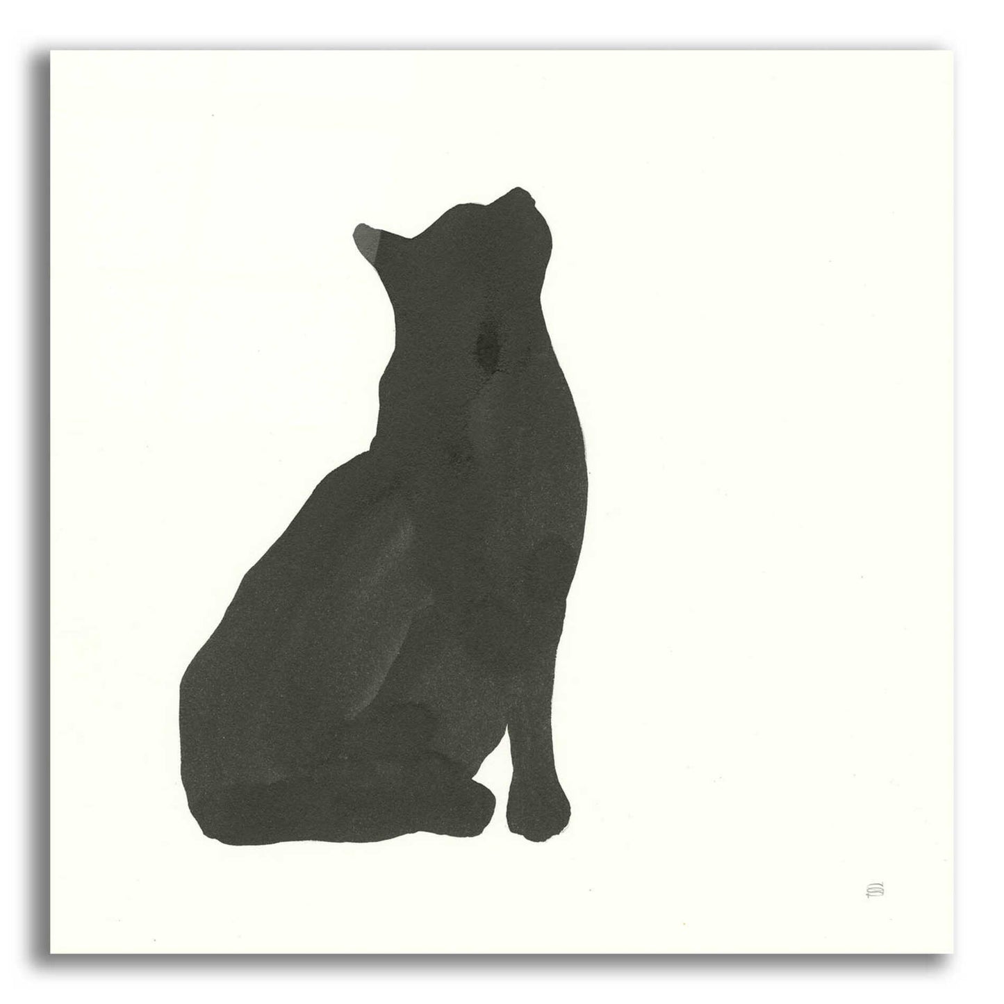 Epic Art 'Black Cat III' by Chris Paschke, Acrylic Glass Wall Art,36x36