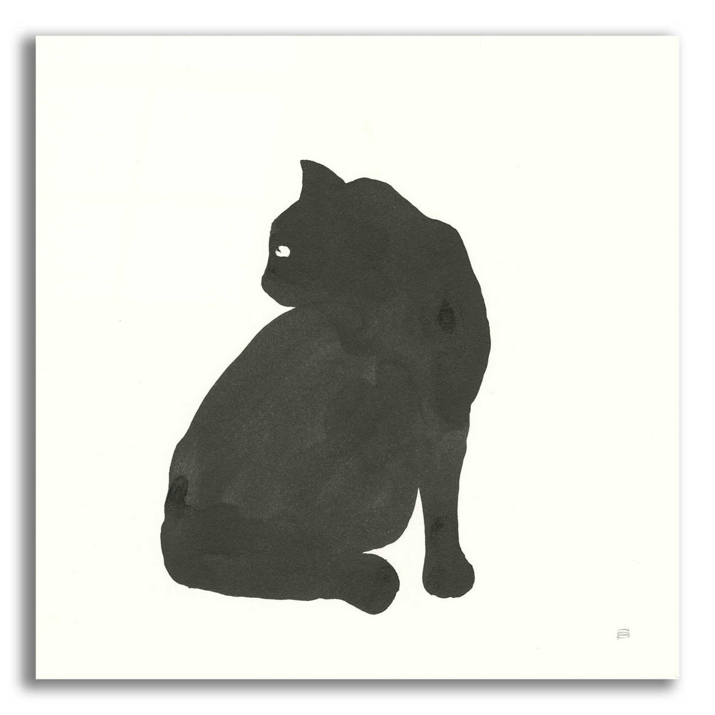 Epic Art 'Black Cat IV' by Chris Paschke, Acrylic Glass Wall Art,36x36