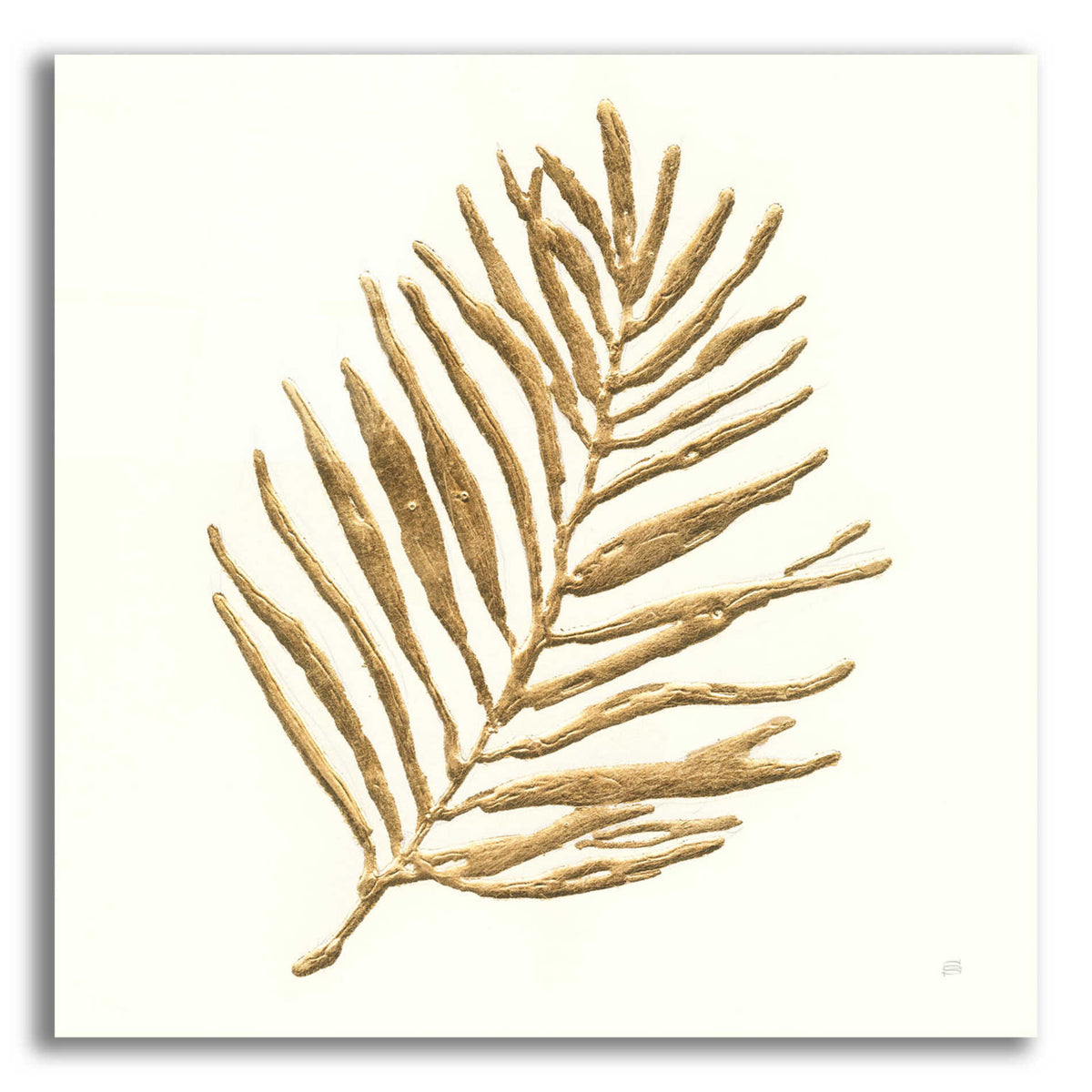 Epic Art 'Gilded Palm V' by Chris Paschke, Acrylic Glass Wall Art,12x12