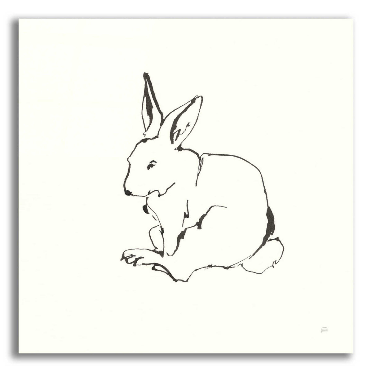 Epic Art 'Line Bunny I' by Chris Paschke, Acrylic Glass Wall Art