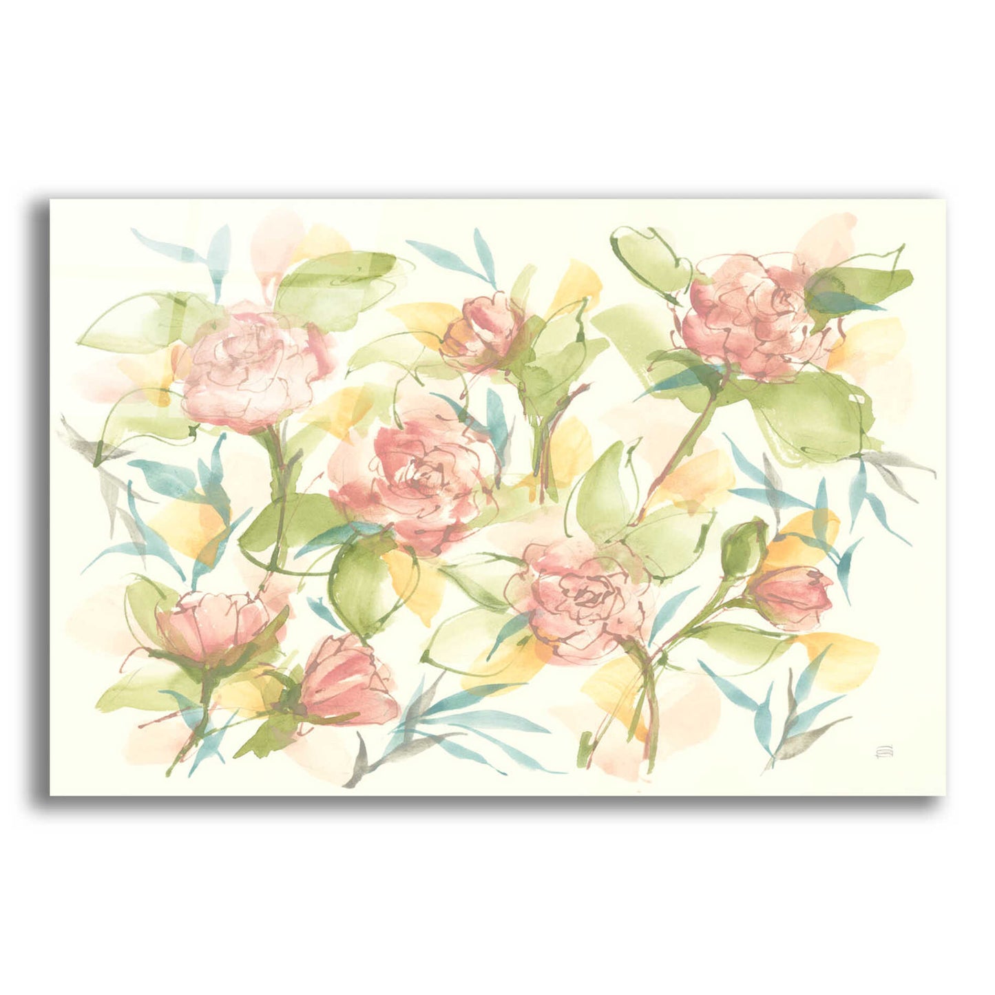 Epic Art 'Blush Camellias' by Chris Paschke, Acrylic Glass Wall Art,24x16