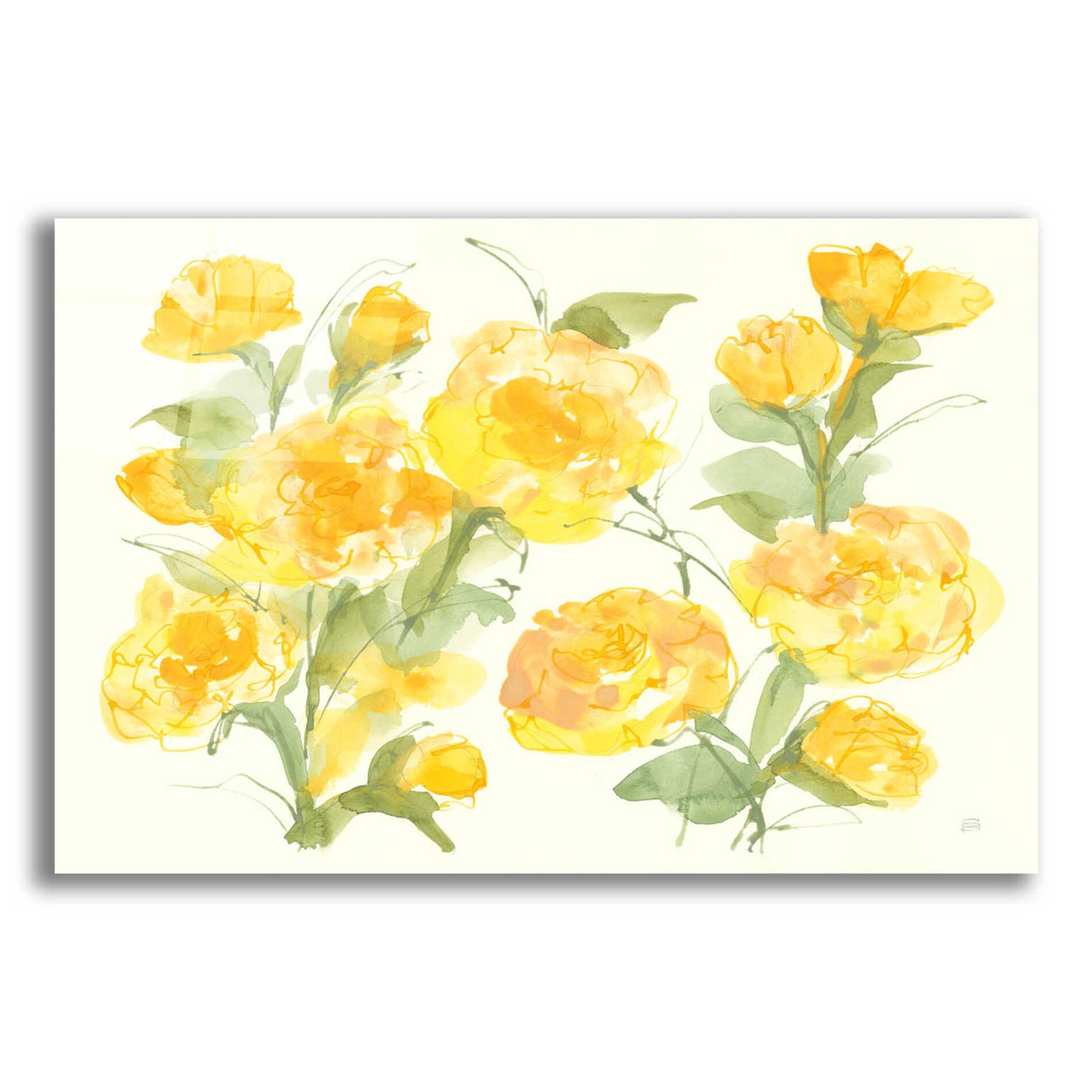 Epic Art 'Sunshine Peonies' by Chris Paschke, Acrylic Glass Wall Art