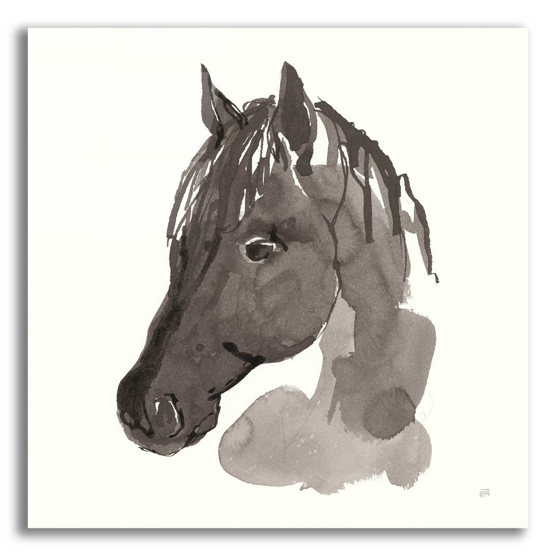 Epic Art 'Horse Portrait II' by Chris Paschke, Acrylic Glass Wall Art