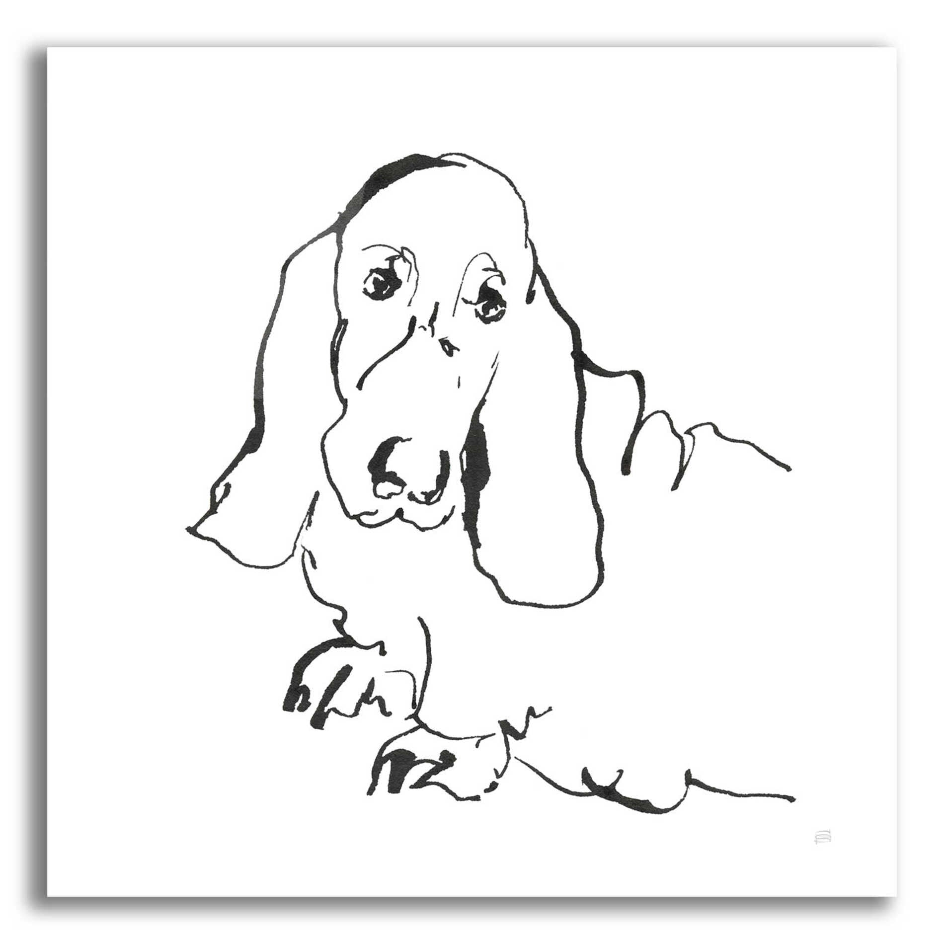 Epic Art 'Line Dog Basset Hound' by Chris Paschke, Acrylic Glass Wall Art