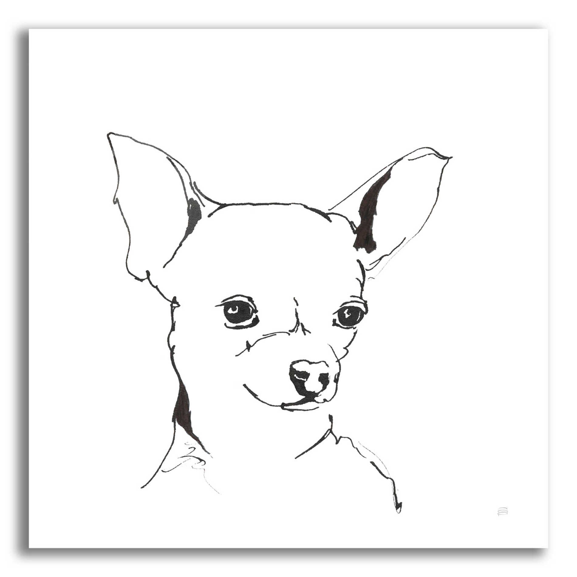 Epic Art 'Line Dog Chihuahua' by Chris Paschke, Acrylic Glass Wall Art